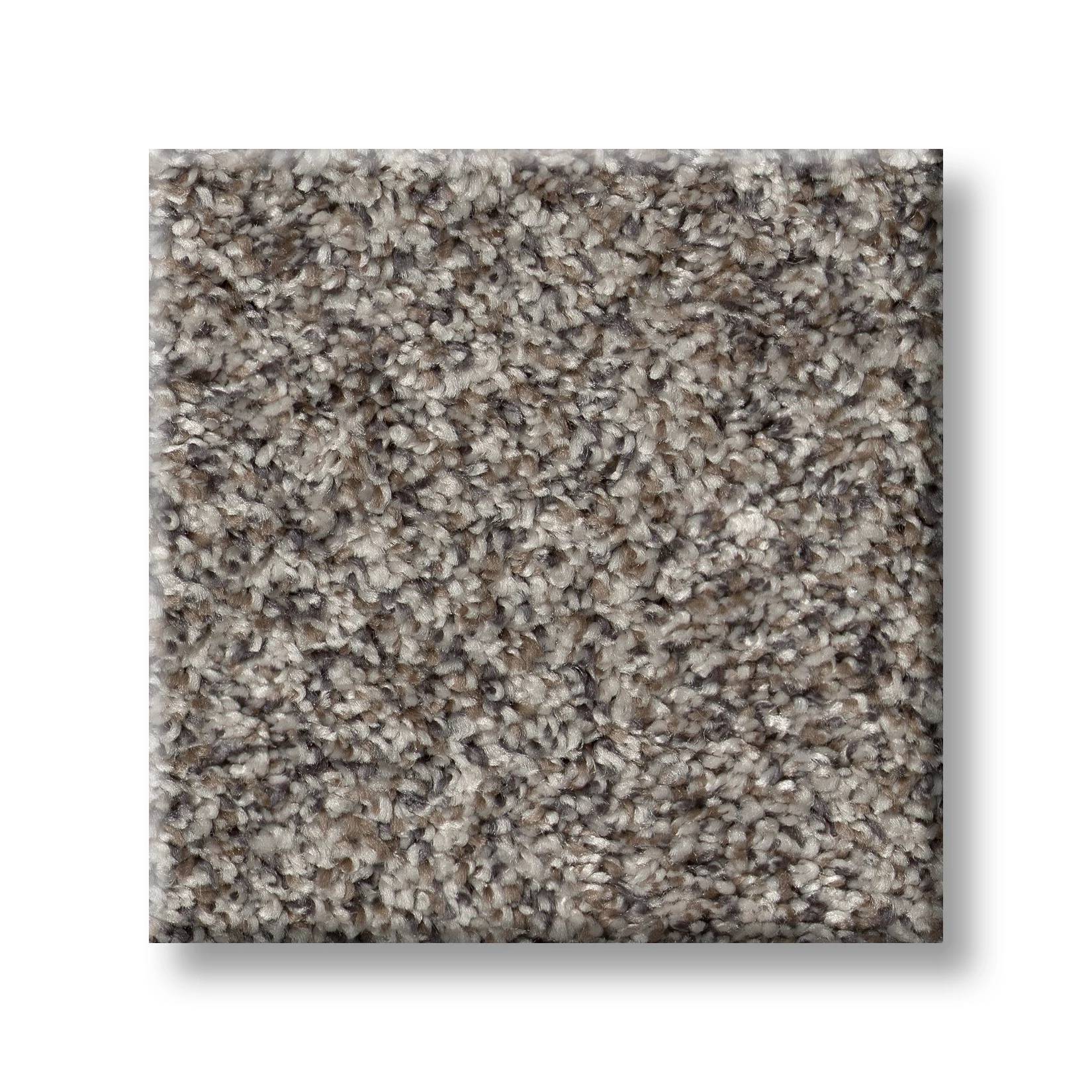 Wise Choice Carpet - Hammerhead Swatch Thumbnail pupop1