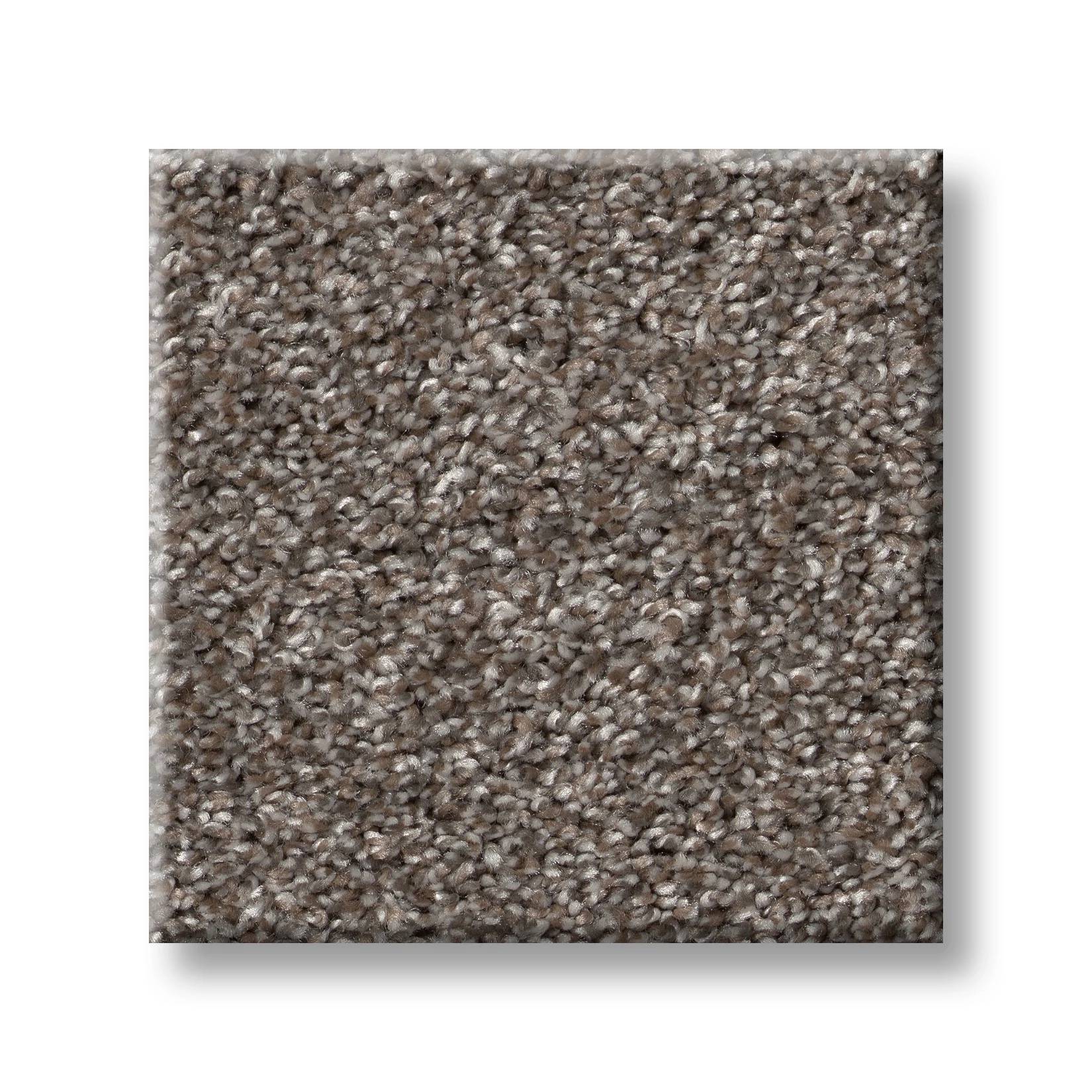 Wise Choice Carpet - Homestead Swatch Thumbnail pupop1