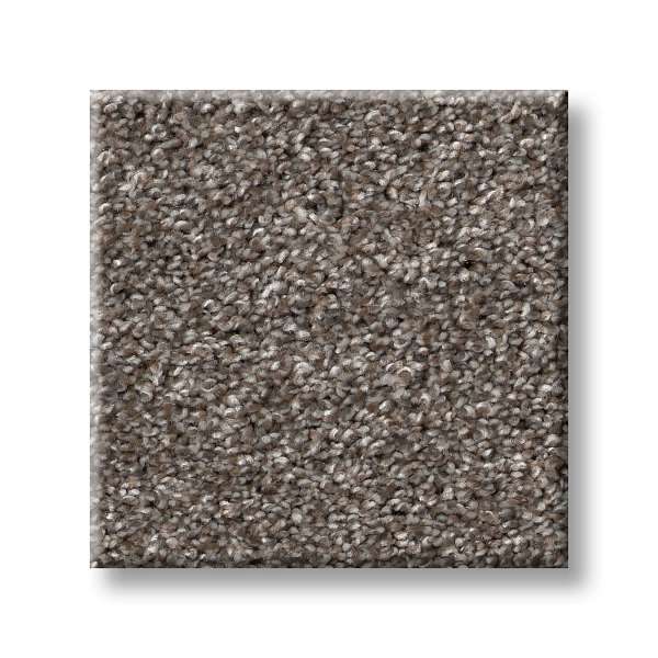 Style Wise Choice Carpet - Homestead Swatch