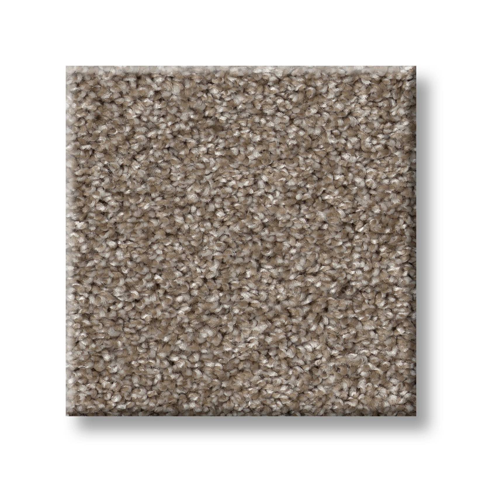Wise Choice Carpet - Pea Gravel Swatch Thumbnail pupop1