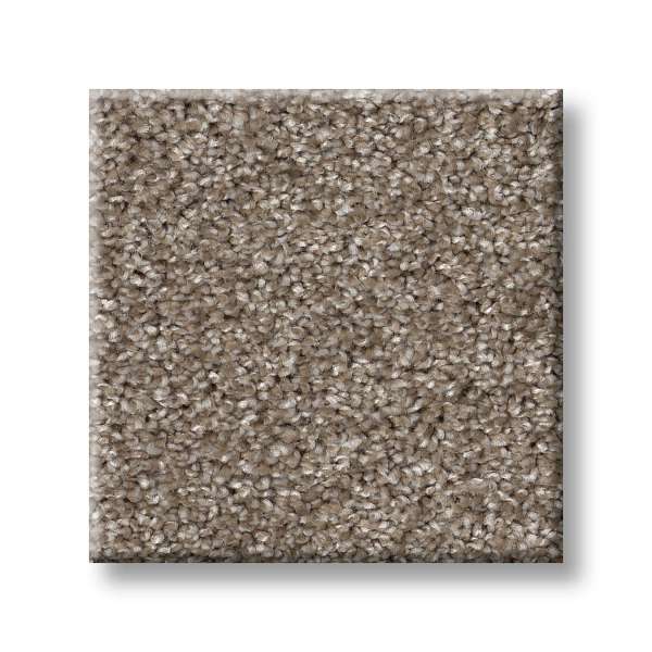 Style Wise Choice Carpet - Pea Gravel Swatch