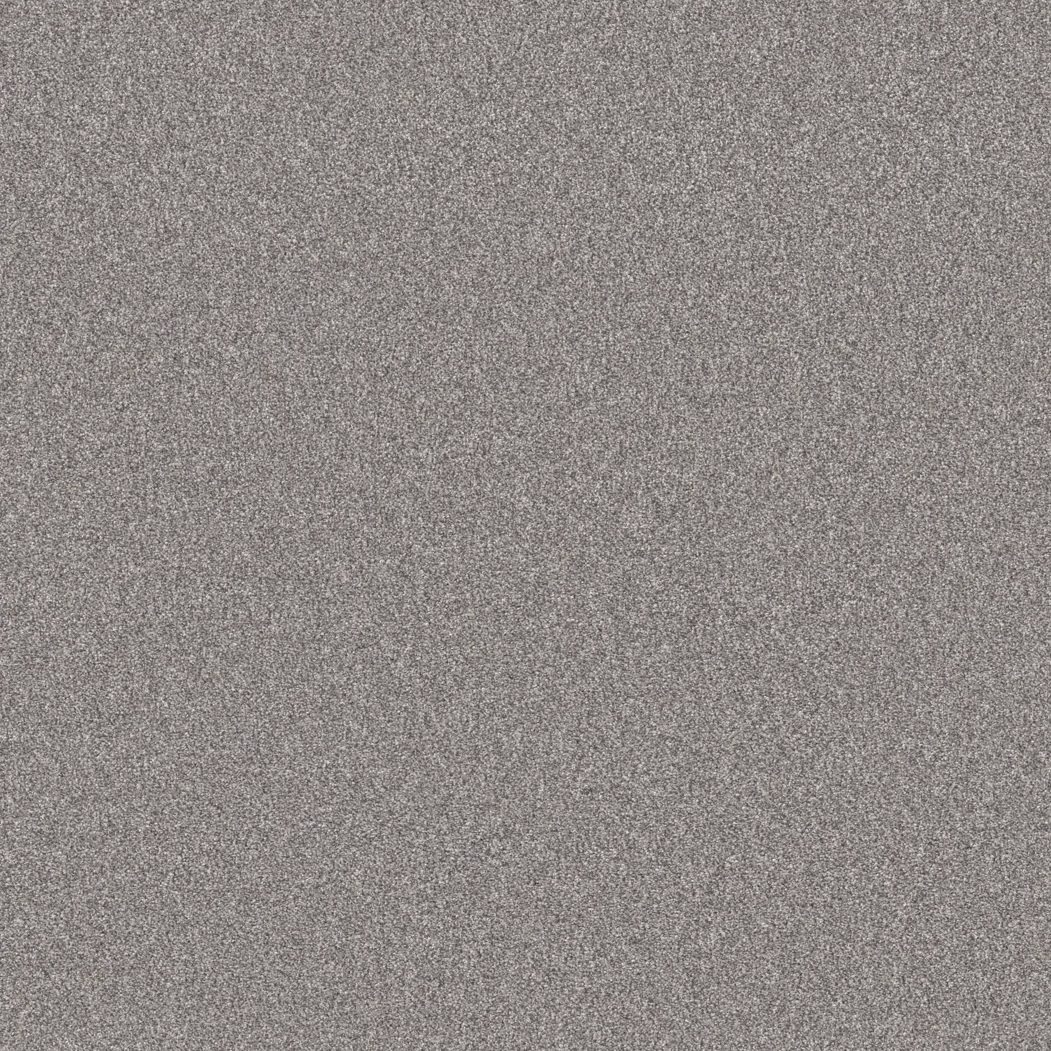 Stepping Out Plus Carpet - Rock Crystal Zoomed Swatch Image