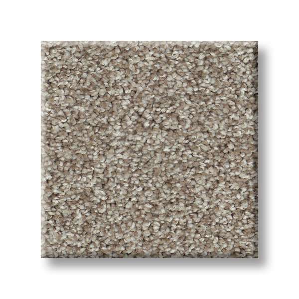 Style Positively I Carpet - Plateau Swatch
