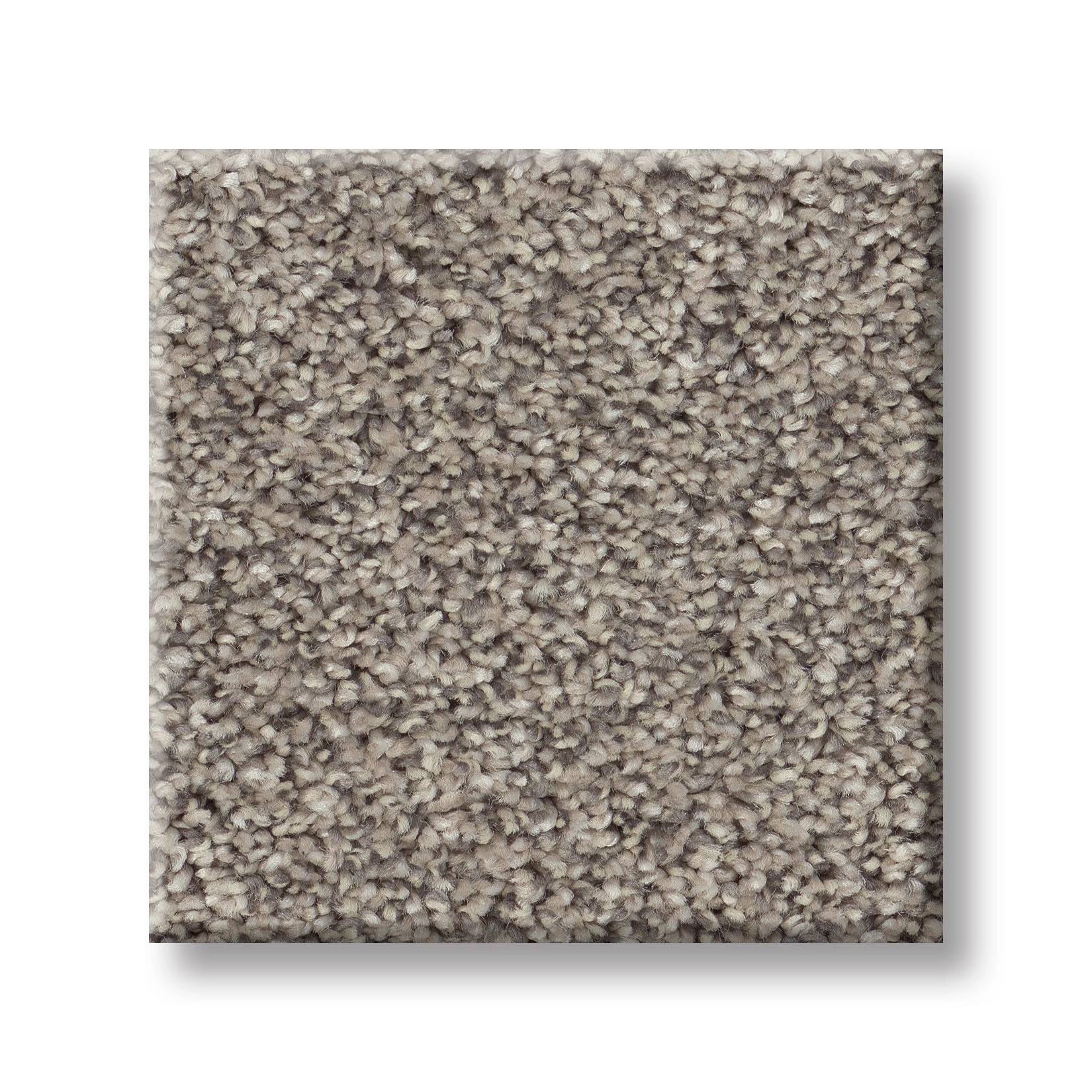 Positively I Carpet - Bistro Swatch Thumbnail pupop1