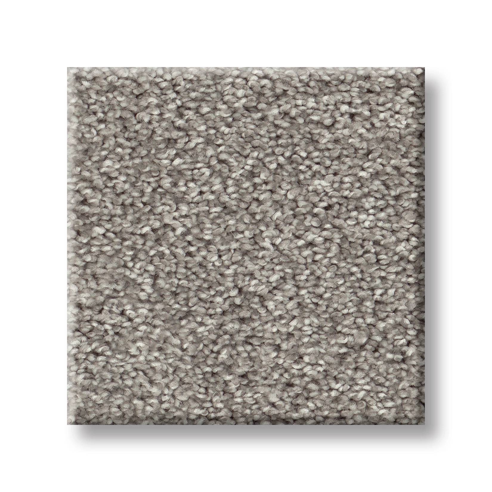 Positively I Carpet - Lunar Surface Swatch Thumbnail pupop1