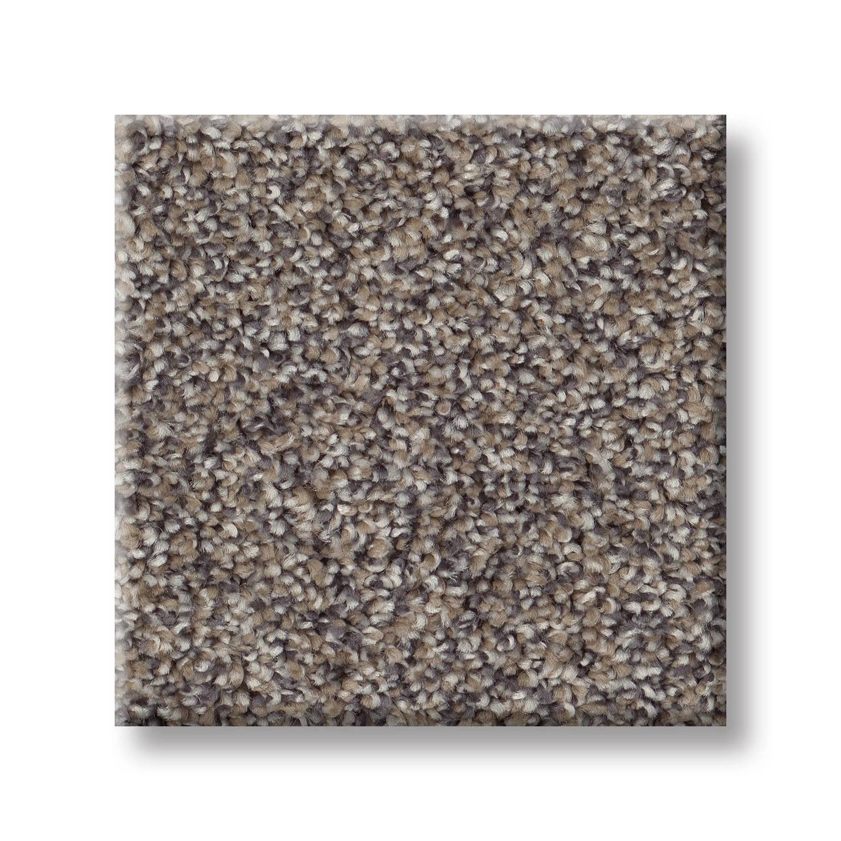 Positively I Carpet - Granite Swatch Thumbnail pupop1