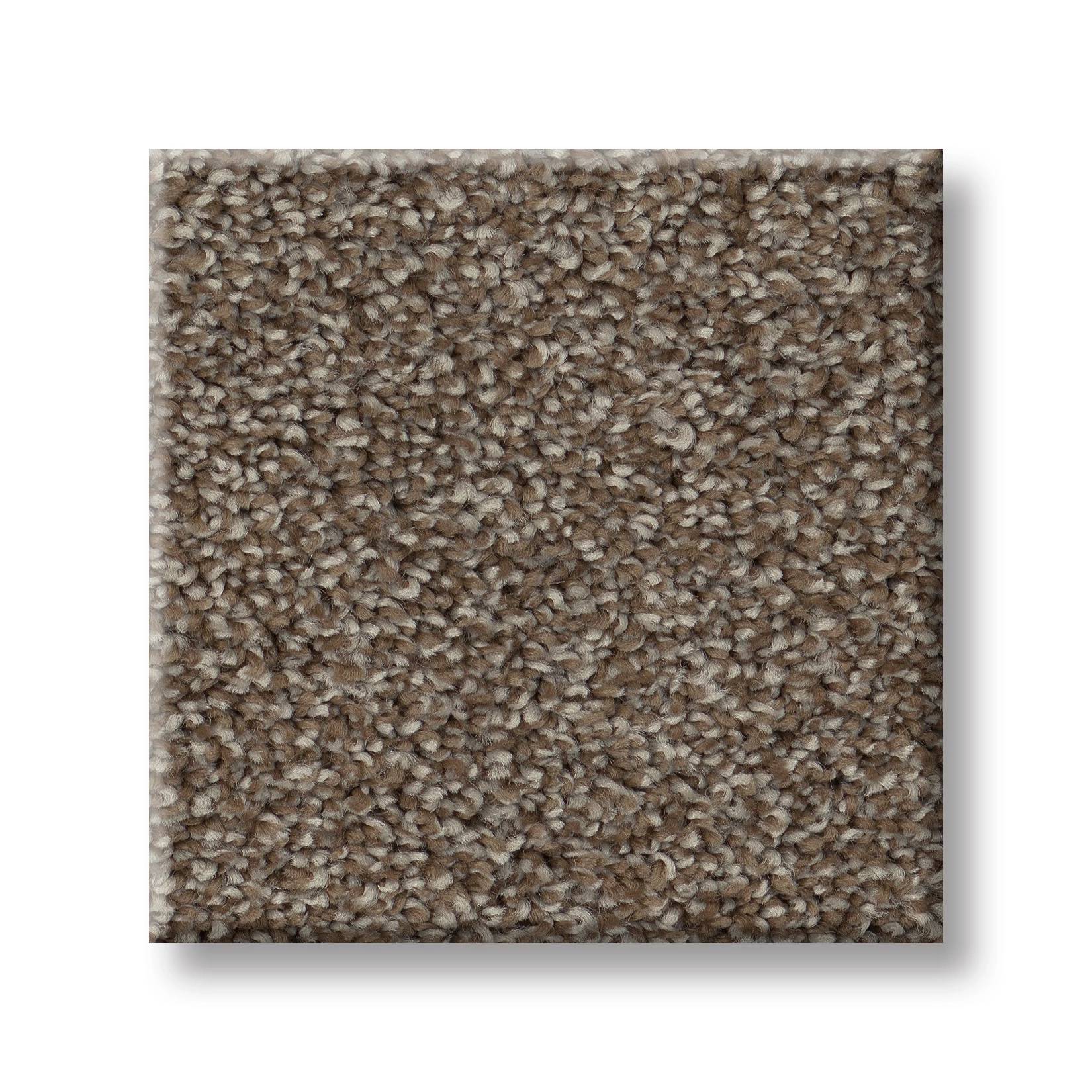 Positively I Carpet - Spanish Brown Swatch Thumbnail pupop1