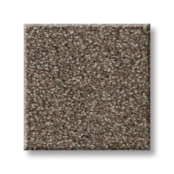 Style Positively I Carpet - Spanish Brown Swatch