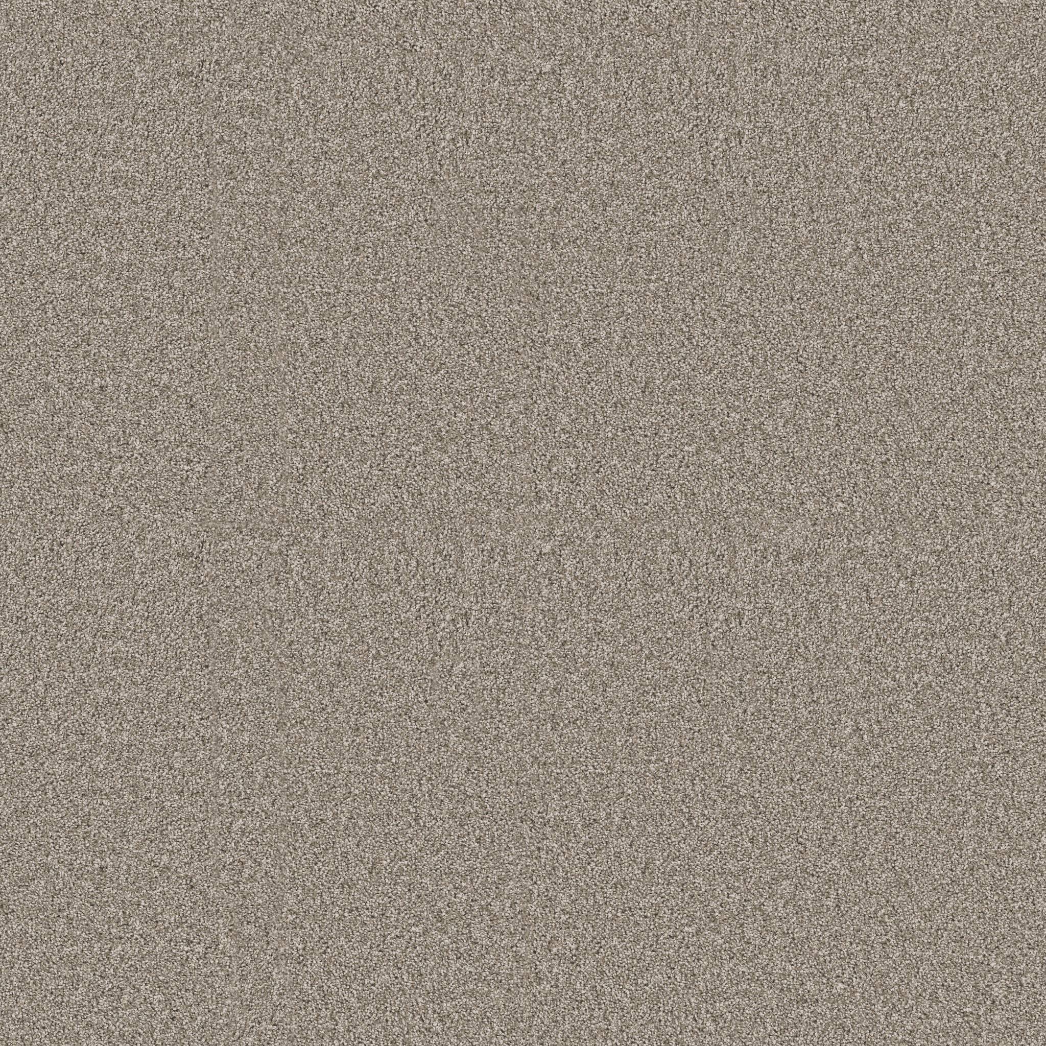 Positively II Carpet - Vintage Pewter Zoomed Swatch Image