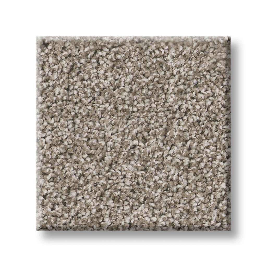 Positively II Carpet - Vintage Pewter  Swatch Image 