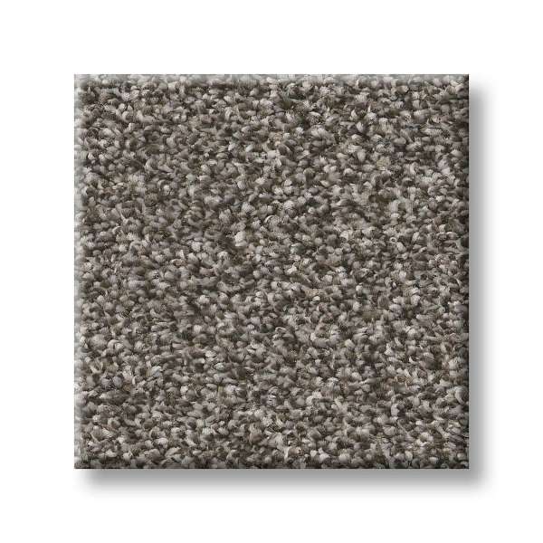 Style Positively II Carpet - Orion Gray Swatch