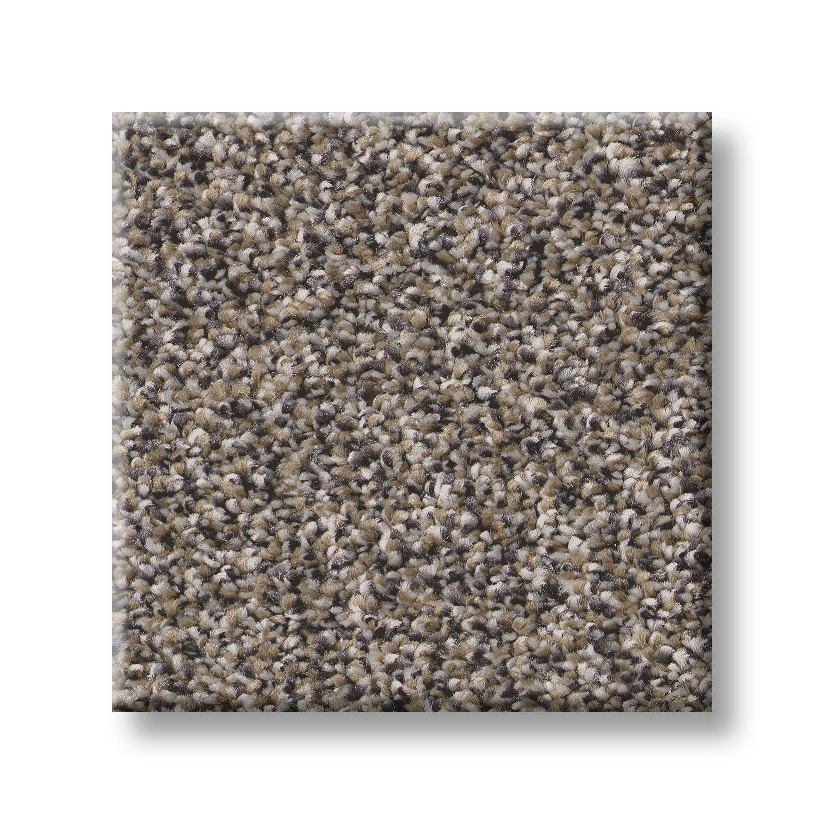 Positively II Carpet - Granite Swatch Thumbnail pupop1