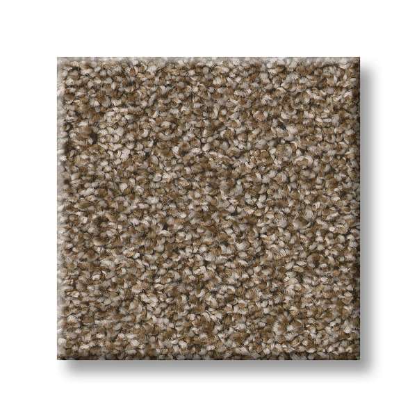 Style Positively II Carpet - Spanish Brown Swatch