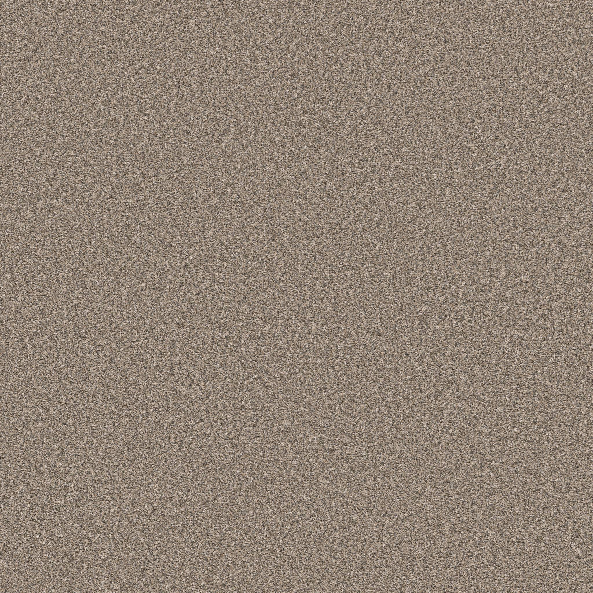 Positively II Carpet - Midtown Zoomed Swatch Image