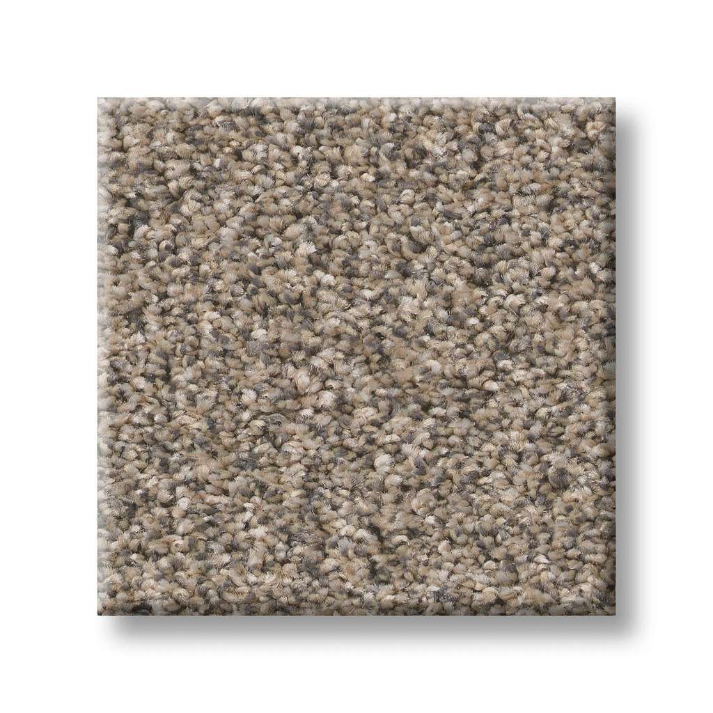 Positively II Carpet - Midtown  Swatch Image 