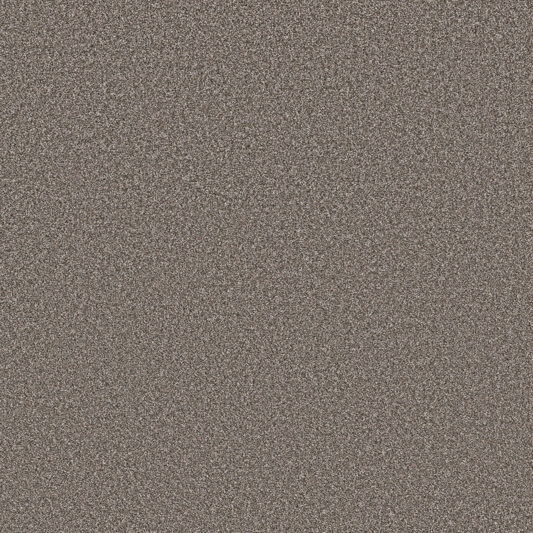 Positively II Carpet - Creek Bend Zoomed Swatch Image