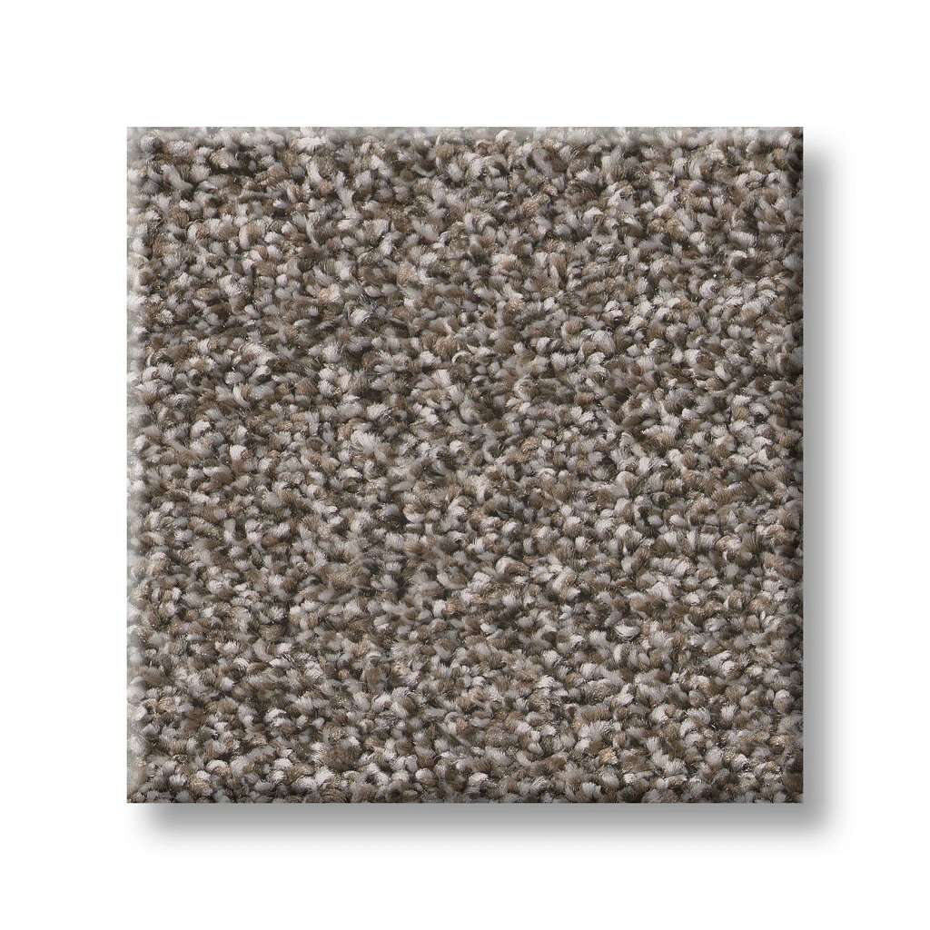 Positively II Carpet - Creek Bend  Swatch Image 