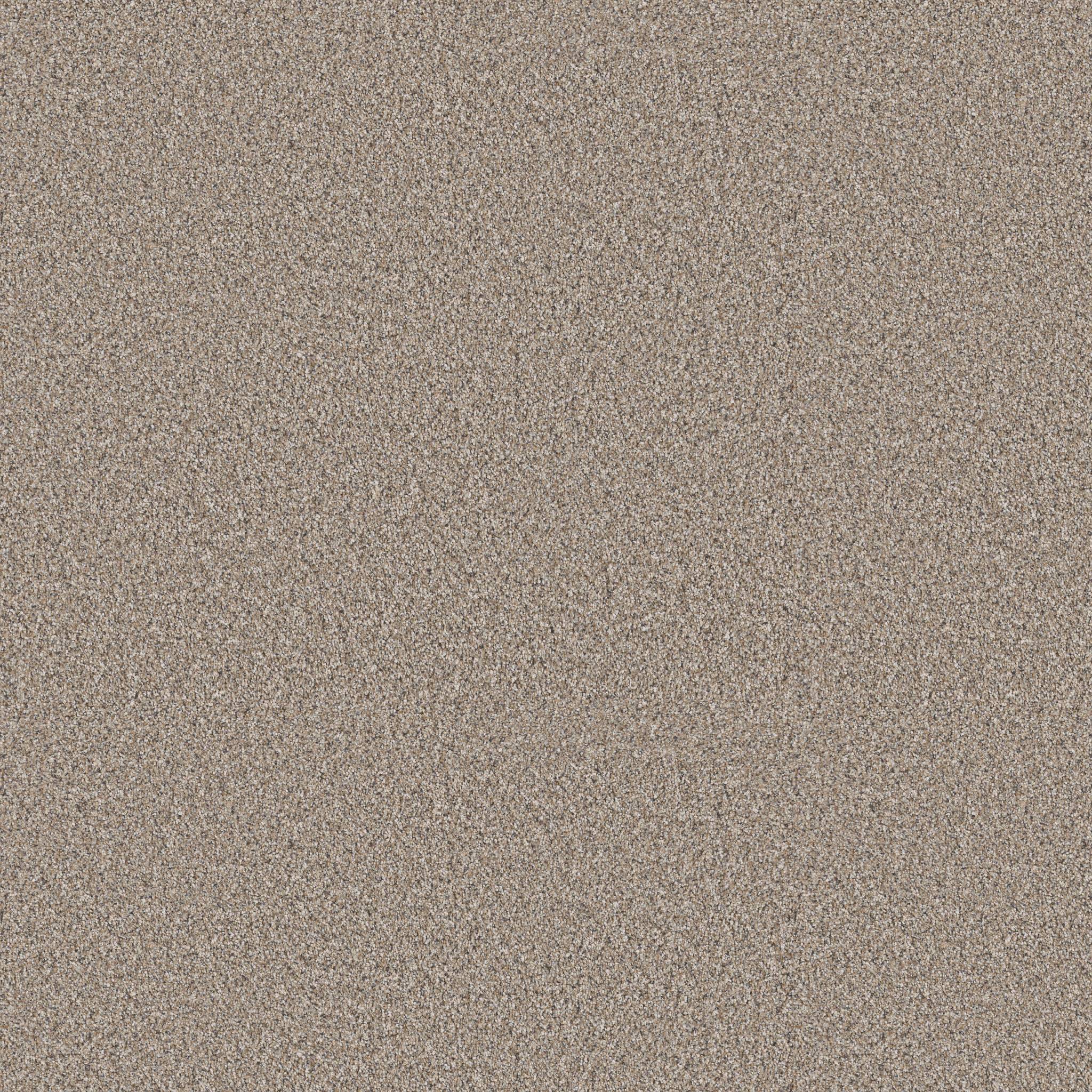 Altitude I Carpet - Knapsack Zoomed Swatch Image