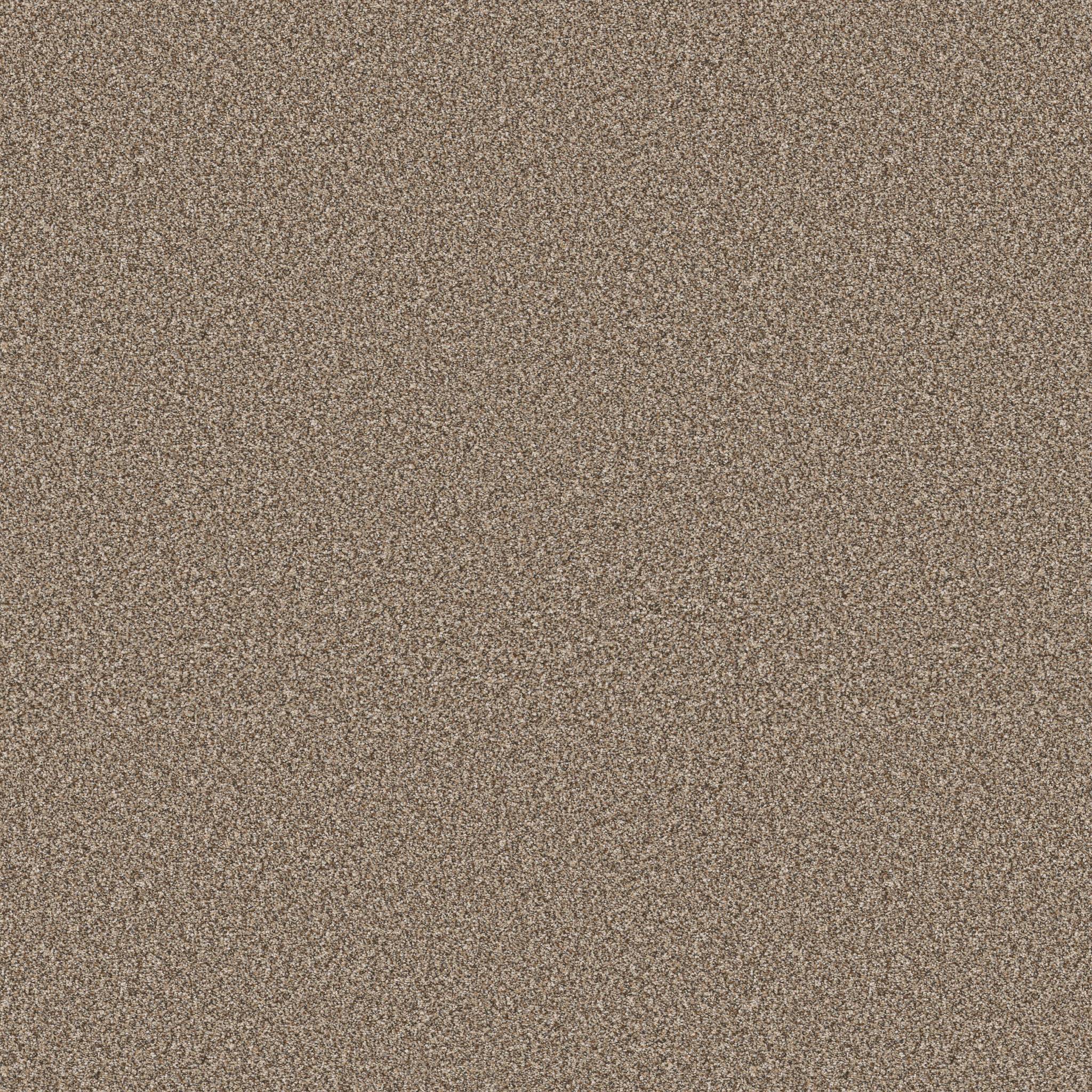 Altitude I Carpet - Saddle Zoomed Swatch Image