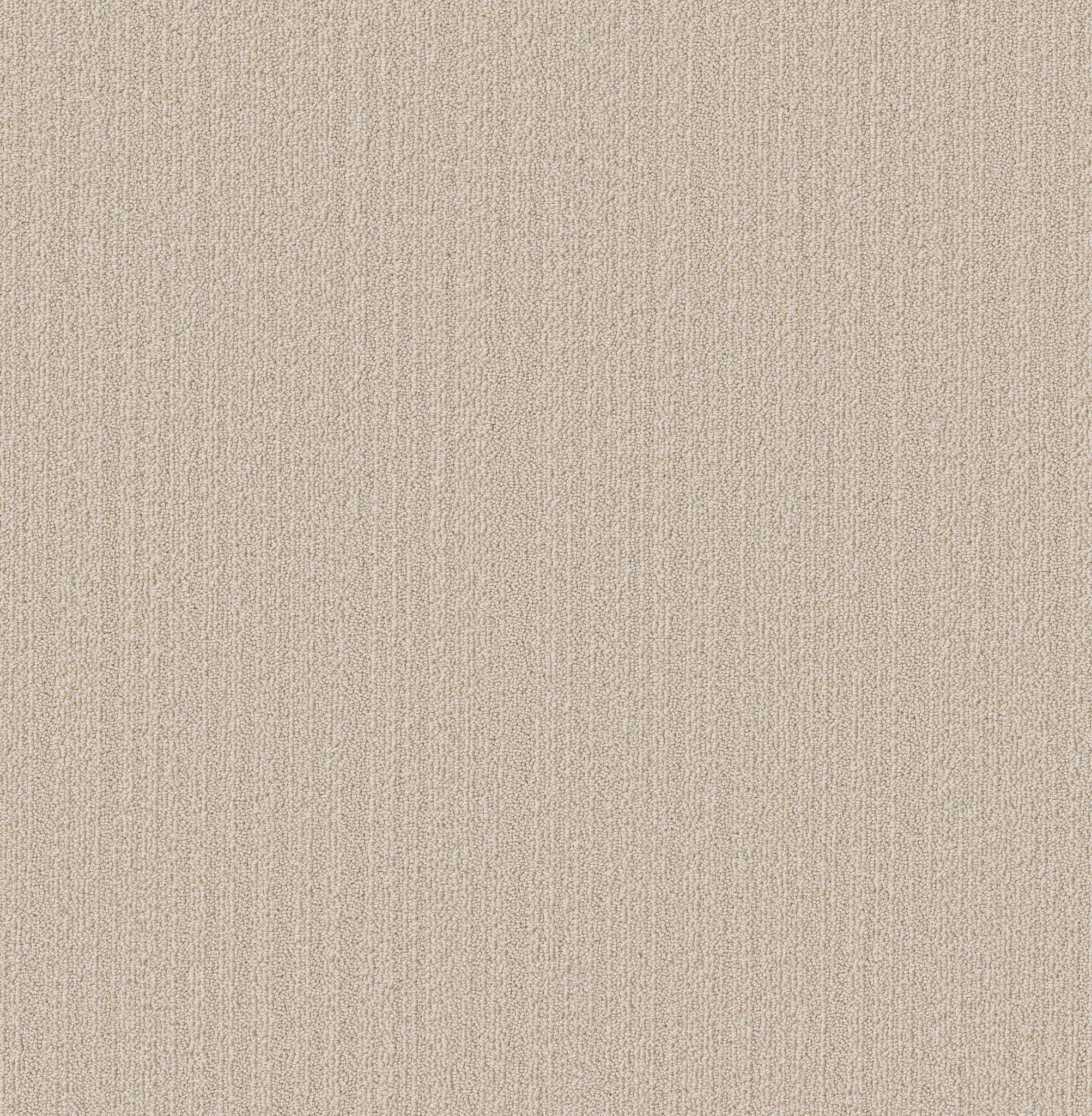 Welcome Hug Carpet - Wool Blanket Zoomed Swatch Image