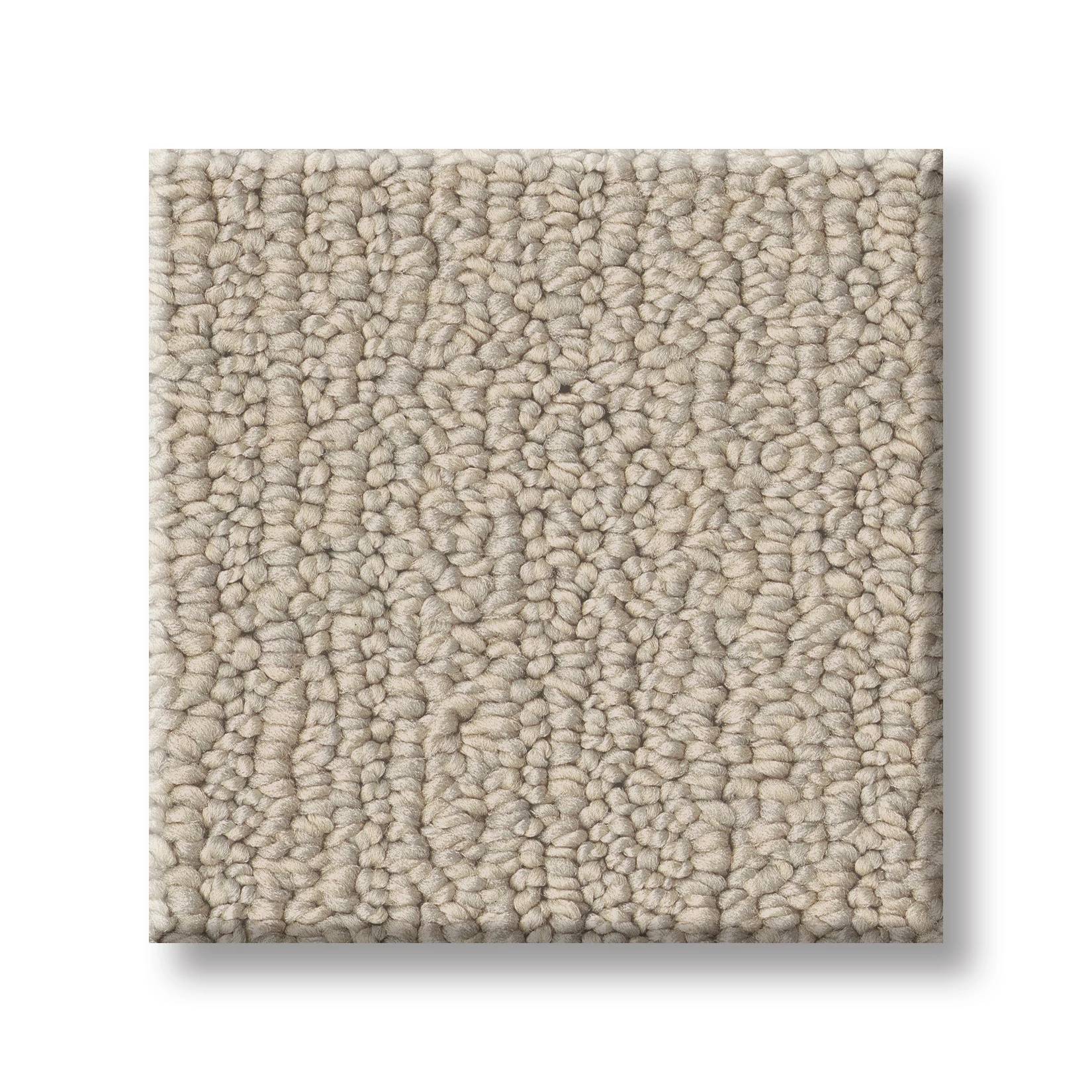 Welcome Hug Carpet - Blissful Beige Swatch Thumbnail pupop1