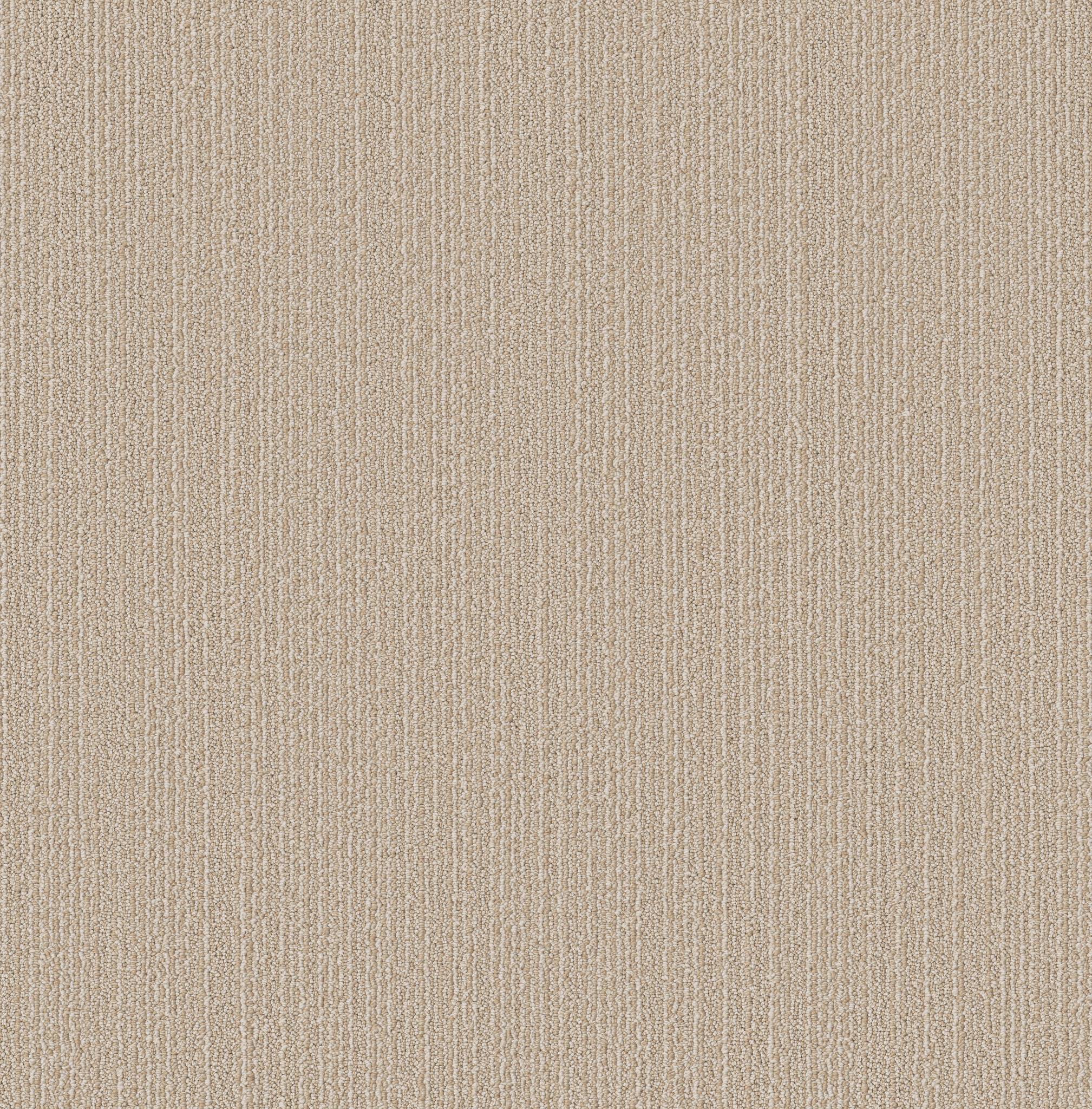 Welcome Hug Carpet - Sun Bleached Zoomed Swatch Image