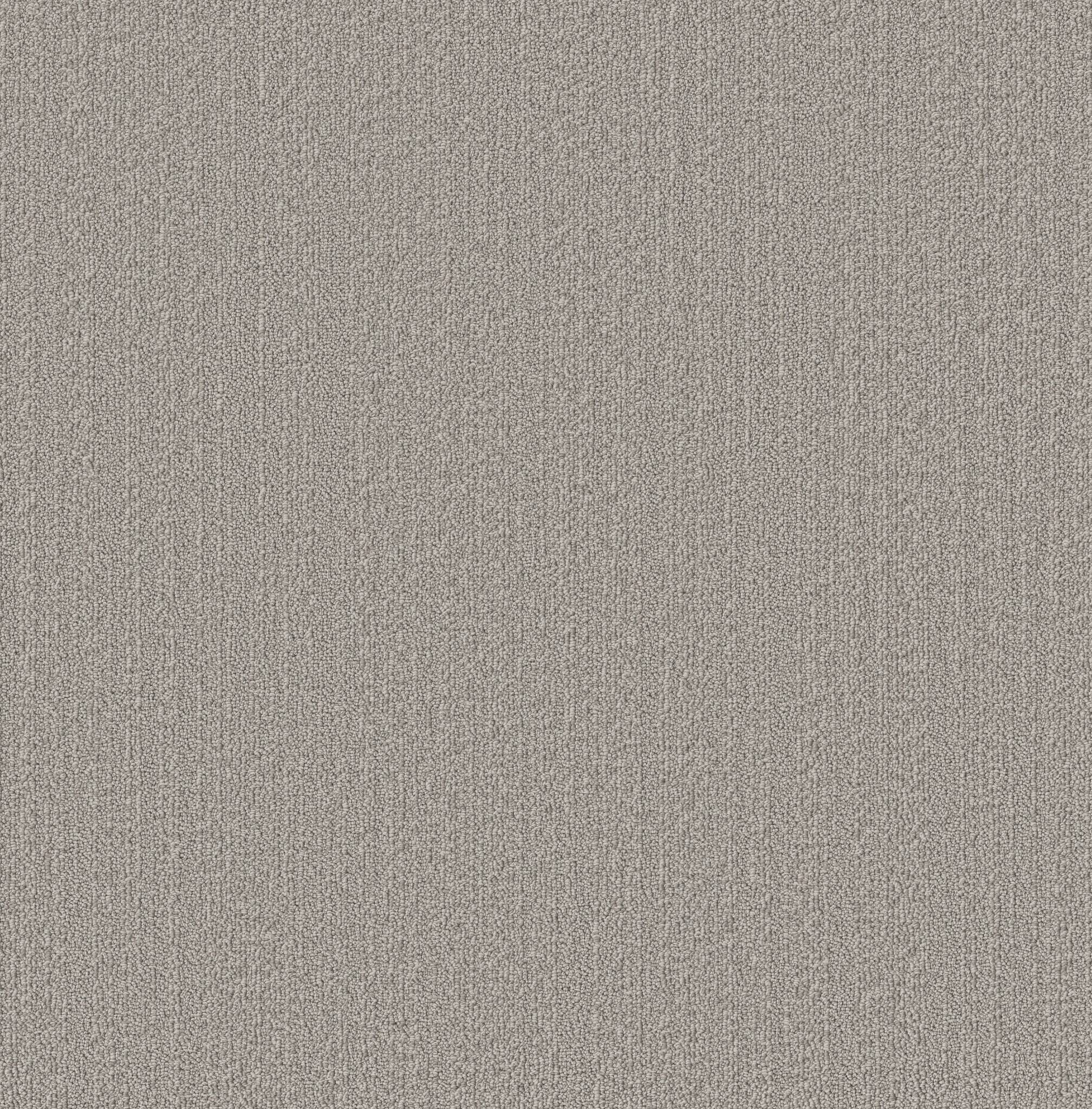 Welcome Hug Carpet - Platinum Zoomed Swatch Image