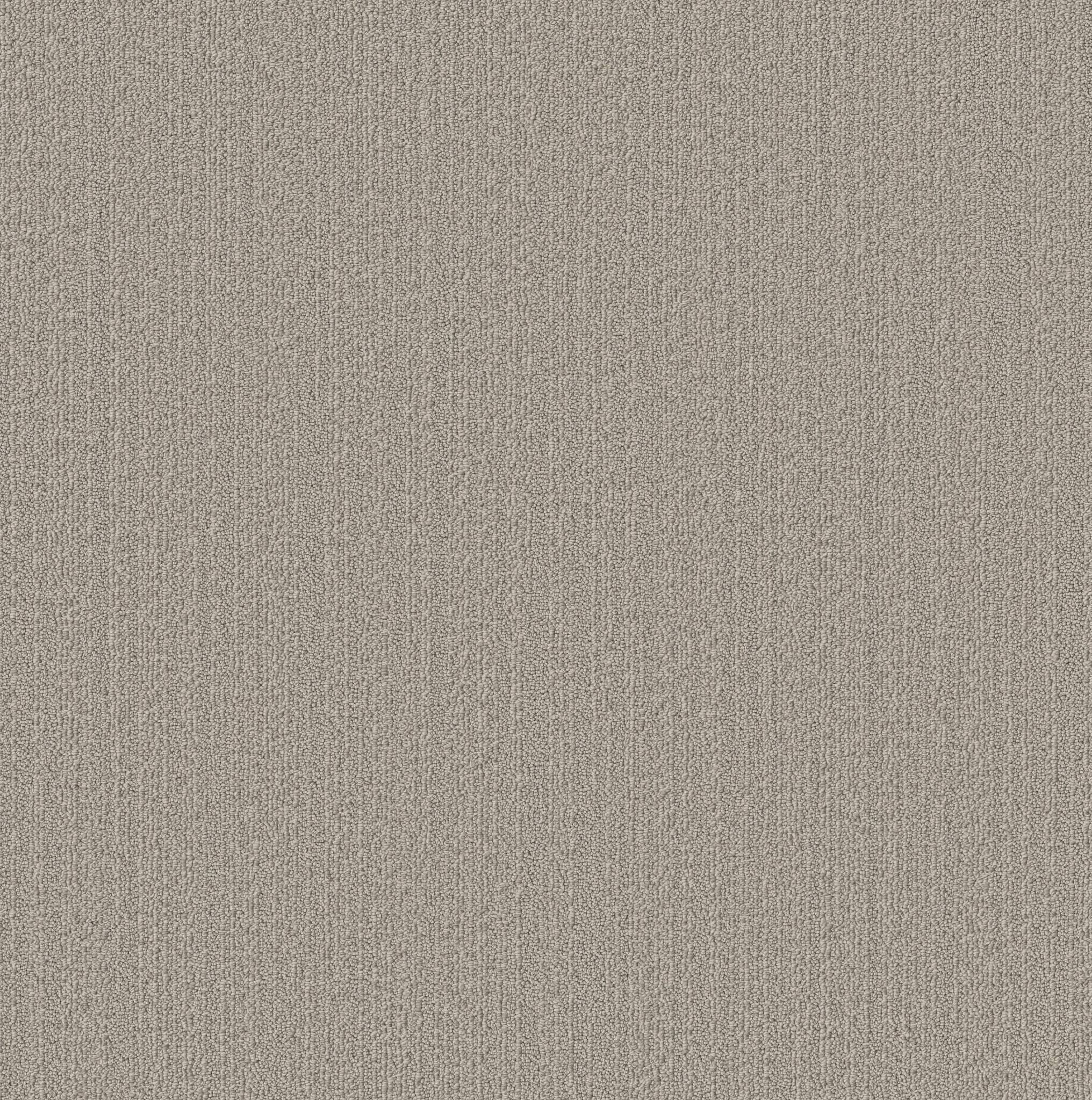 Welcome Hug Carpet - Warm Taupe Zoomed Swatch Image