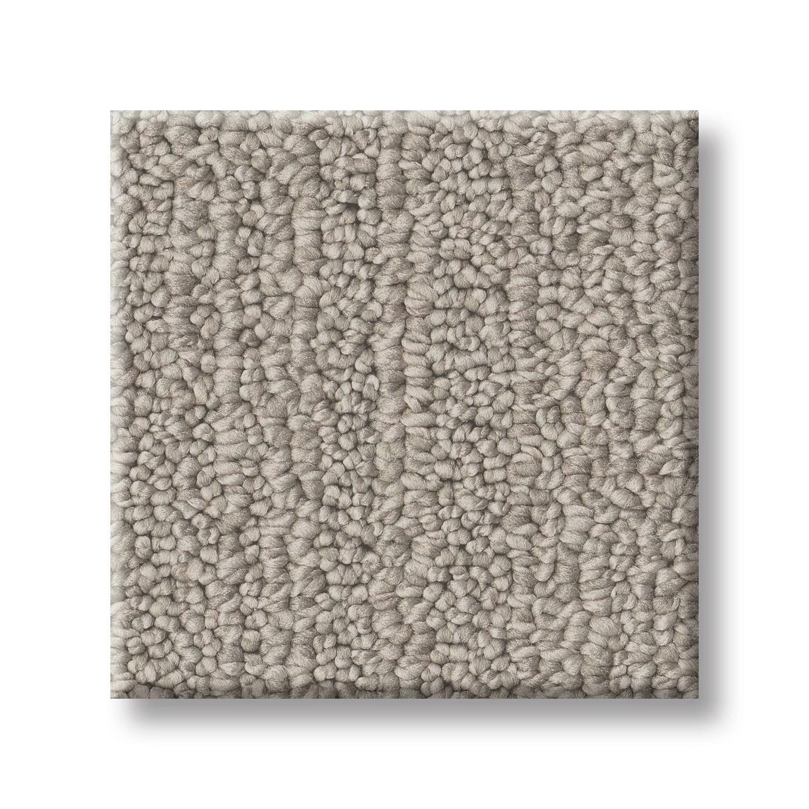 Welcome Hug Carpet - Warm Taupe Swatch Thumbnail pupop1