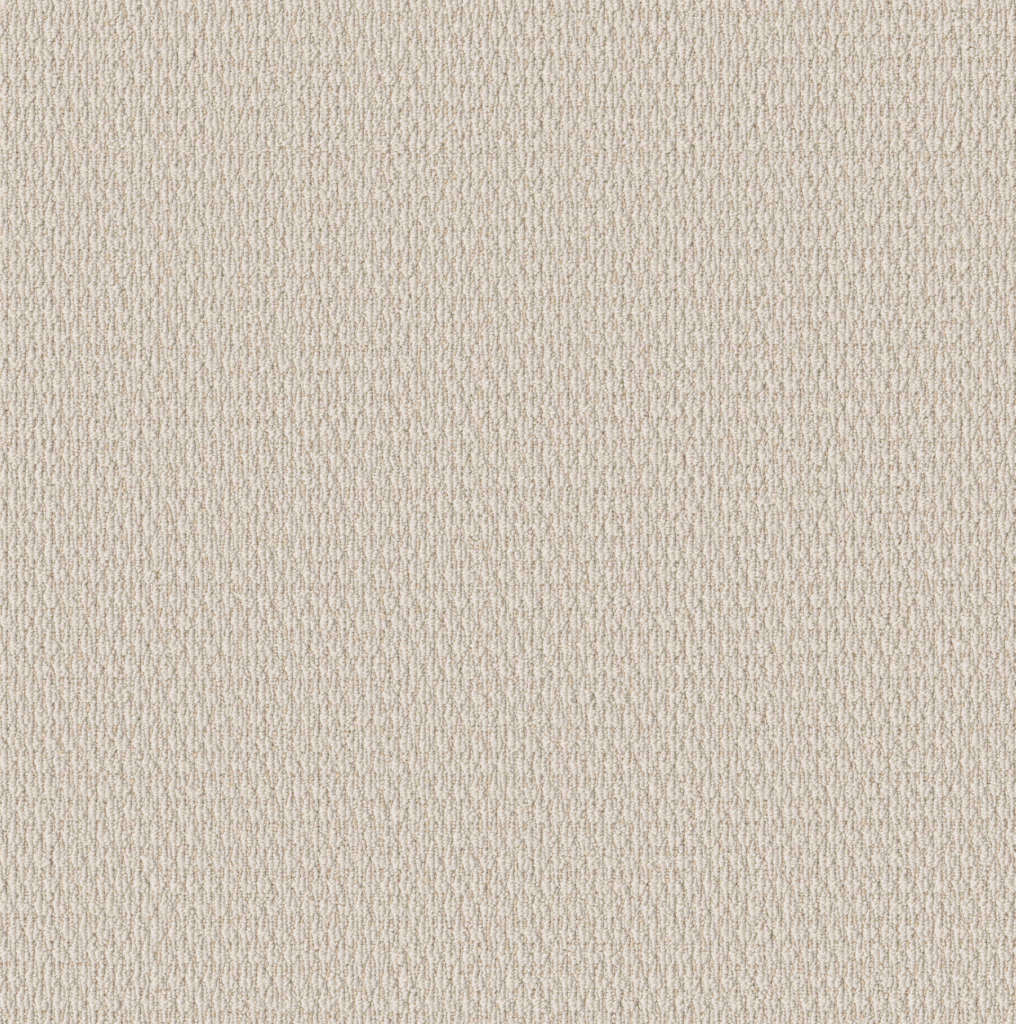 Warm Hug Carpet - Ivory Zoomed Swatch Image