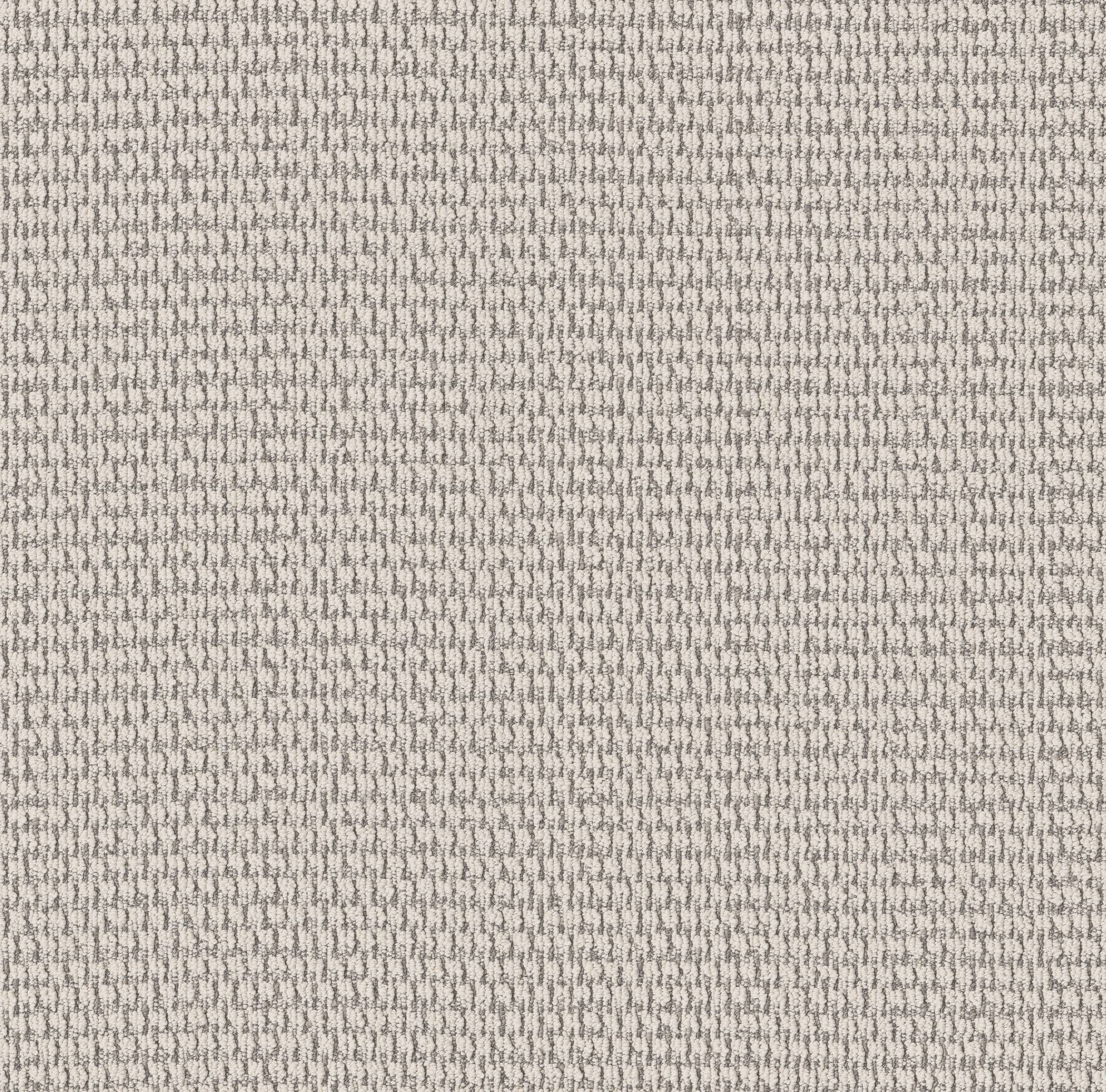 Warm Hug Carpet - Creamy Zoomed Swatch Image