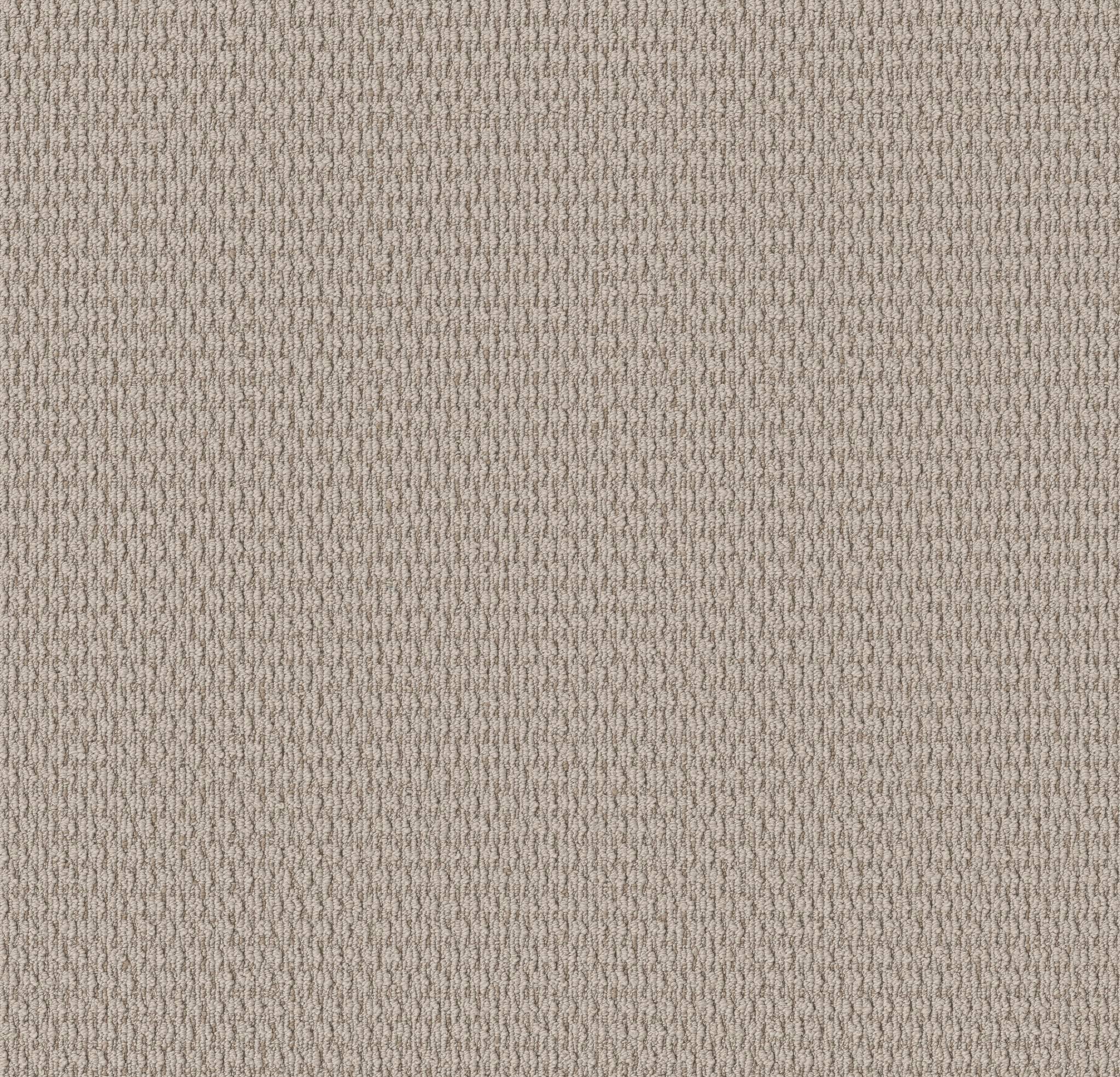 Warm Hug Carpet - Blissful Beige Zoomed Swatch Image