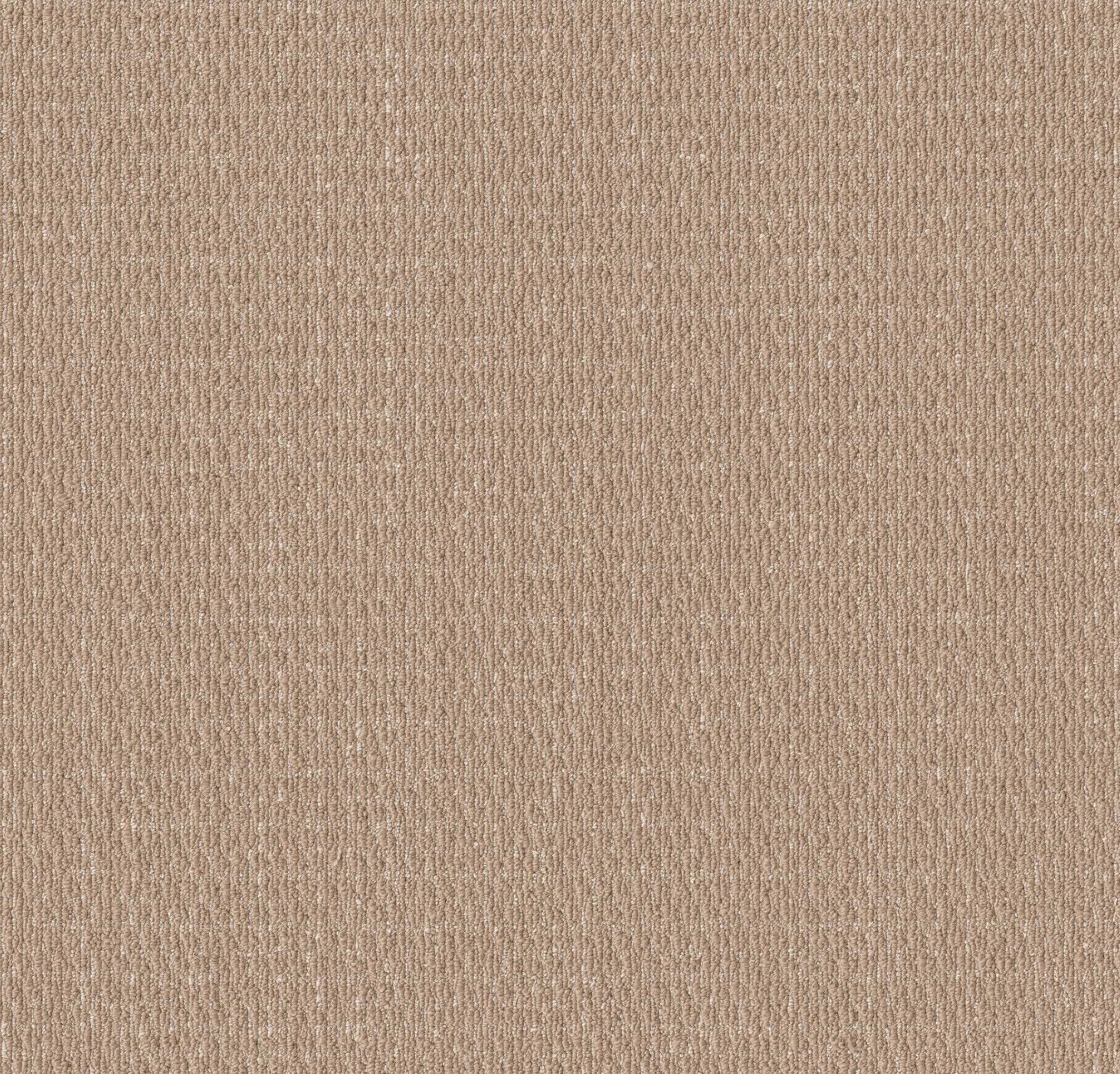 Warm Hug Carpet - Sun Bleached Zoomed Swatch Image