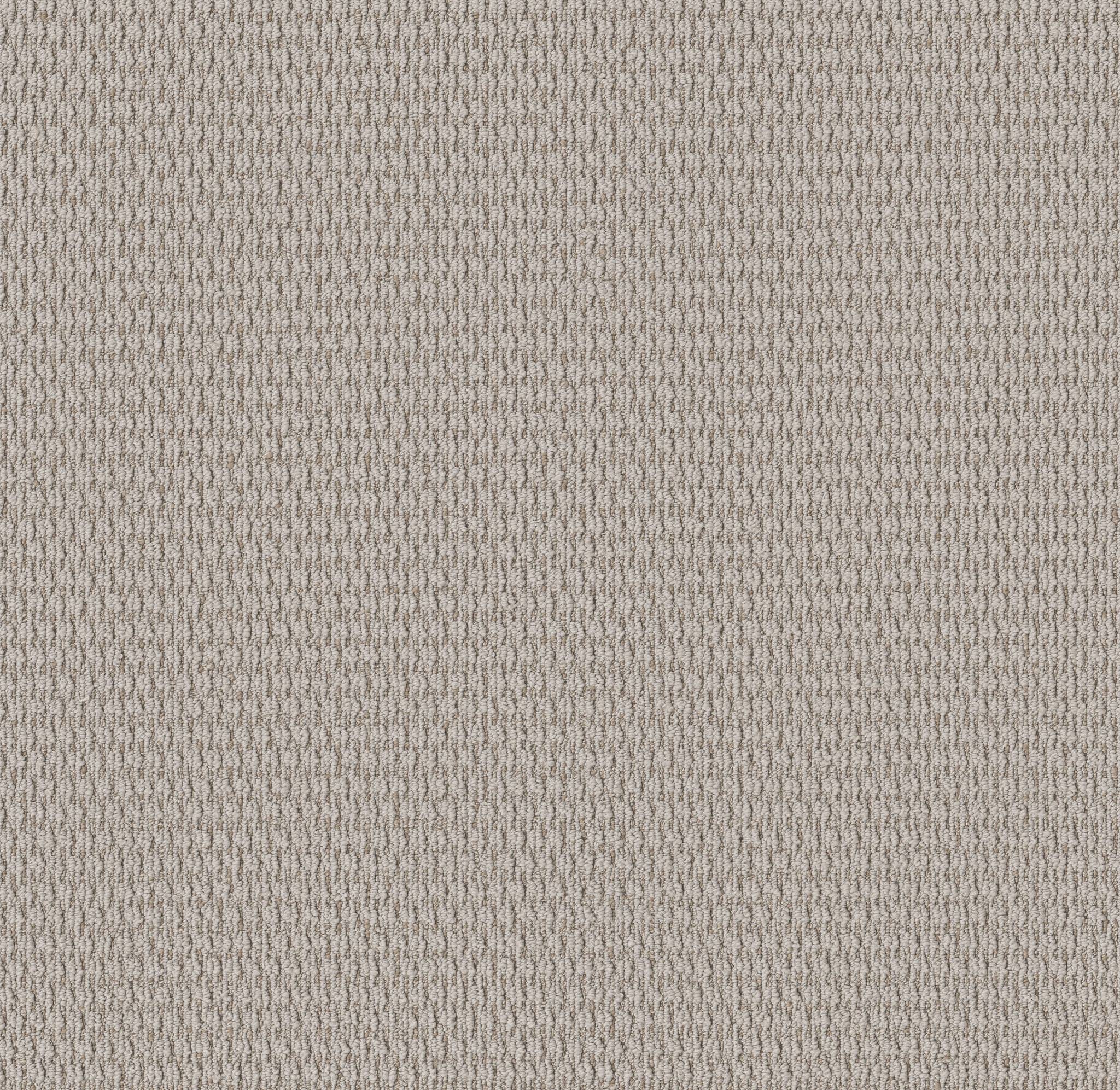 Warm Hug Carpet - Platinum Zoomed Swatch Image