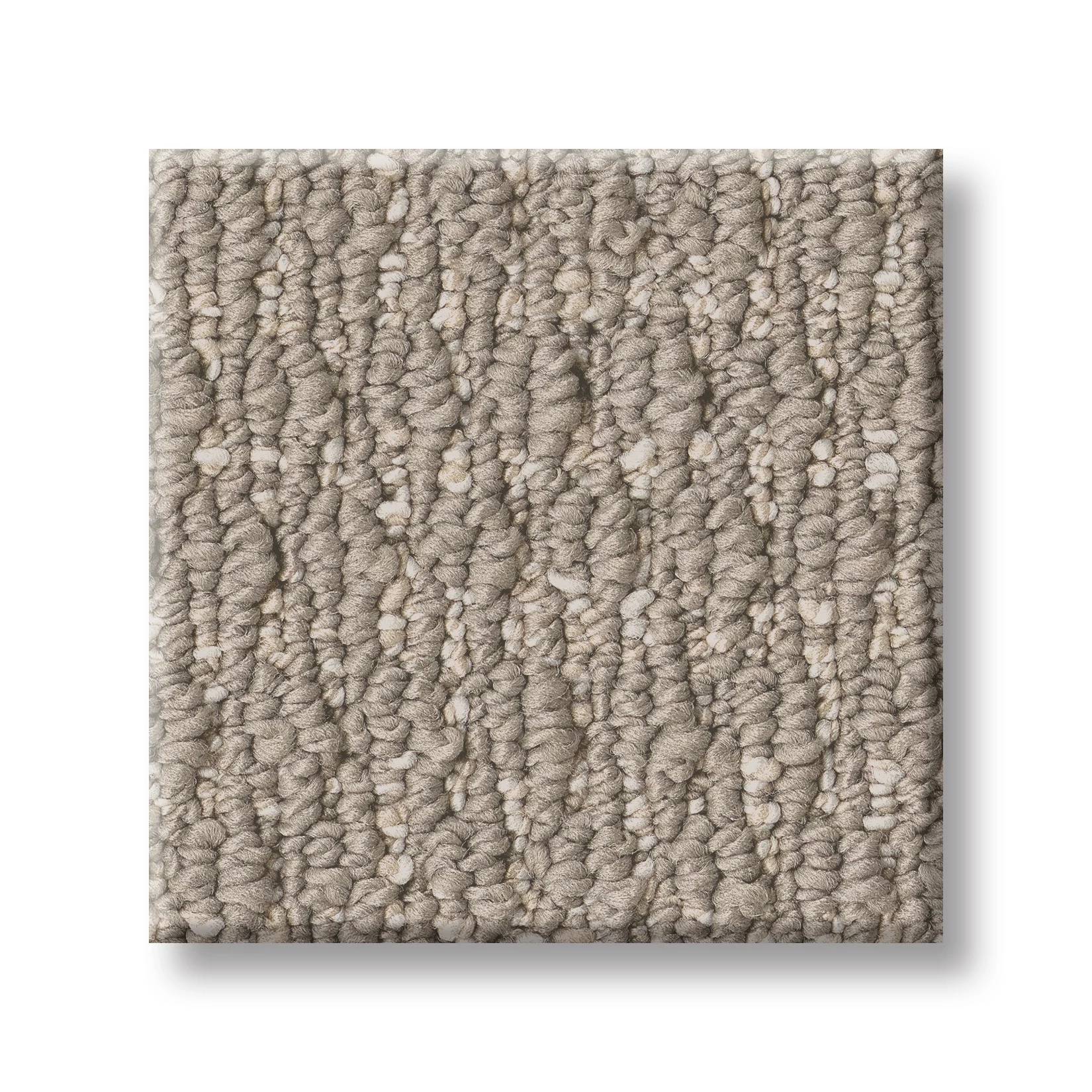 Warm Hug Carpet - Warm Taupe Swatch Thumbnail pupop1