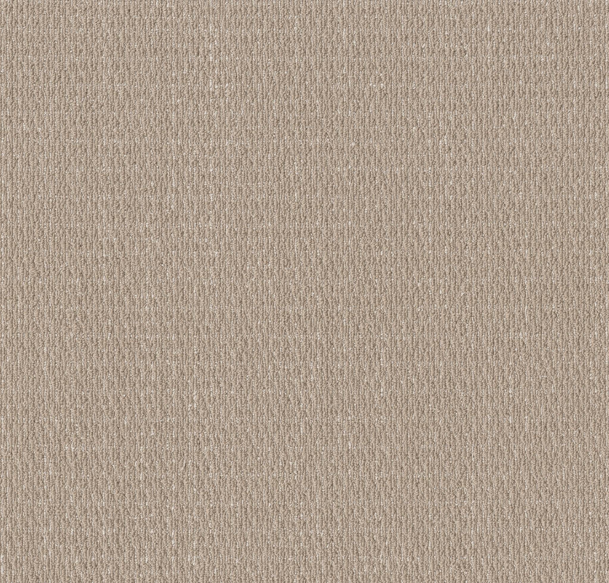 Warm Hug Carpet - Natural Sisal Zoomed Swatch Image