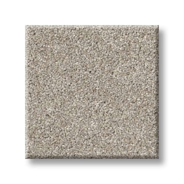 Style Brilliant Contact I Carpet - Chic Taupe Swatch