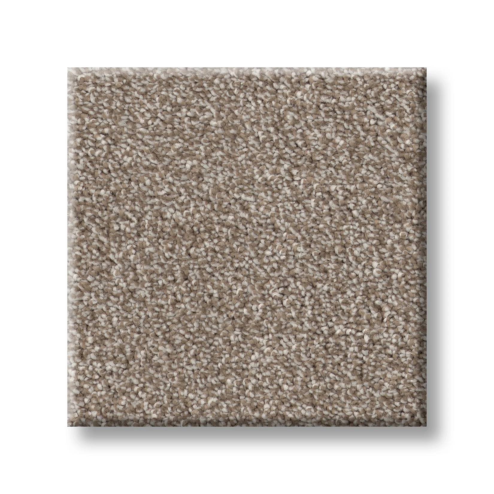 Brilliant Contact I Carpet - Mocha Swatch Thumbnail pupop1