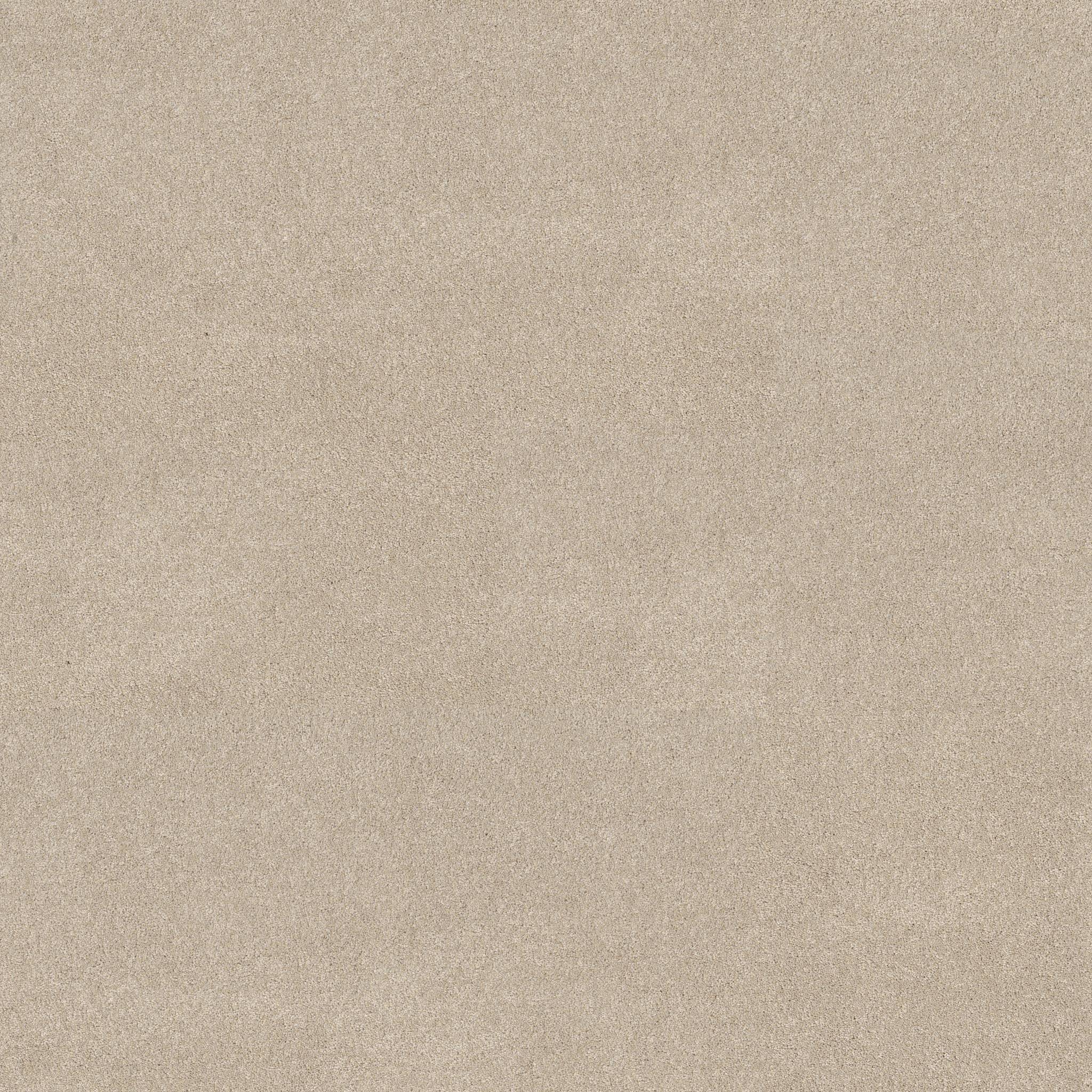 Brilliant Contact II Carpet - Dune View Zoomed Swatch Image