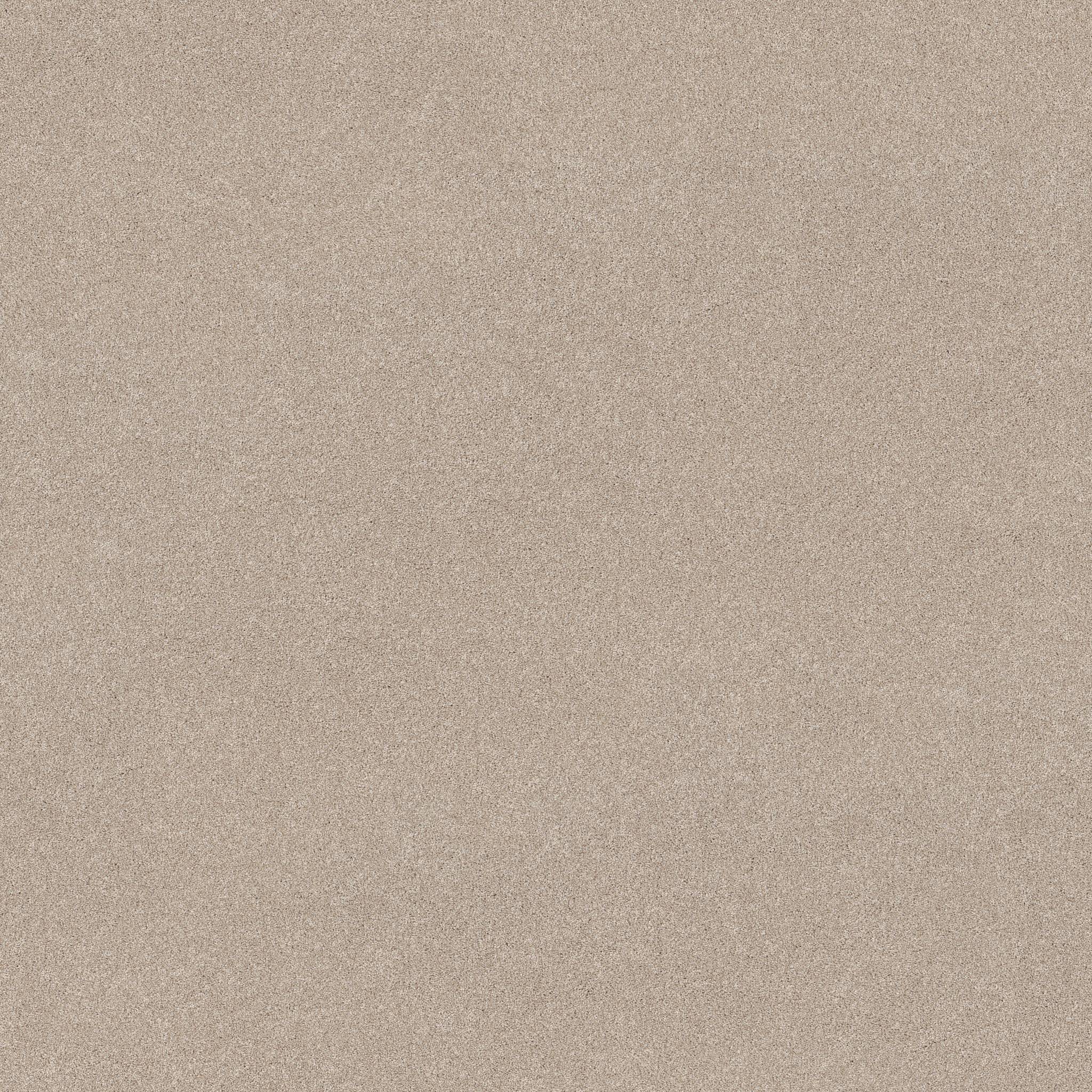 Brilliant Contact II Carpet - Cafe Latte Zoomed Swatch Image