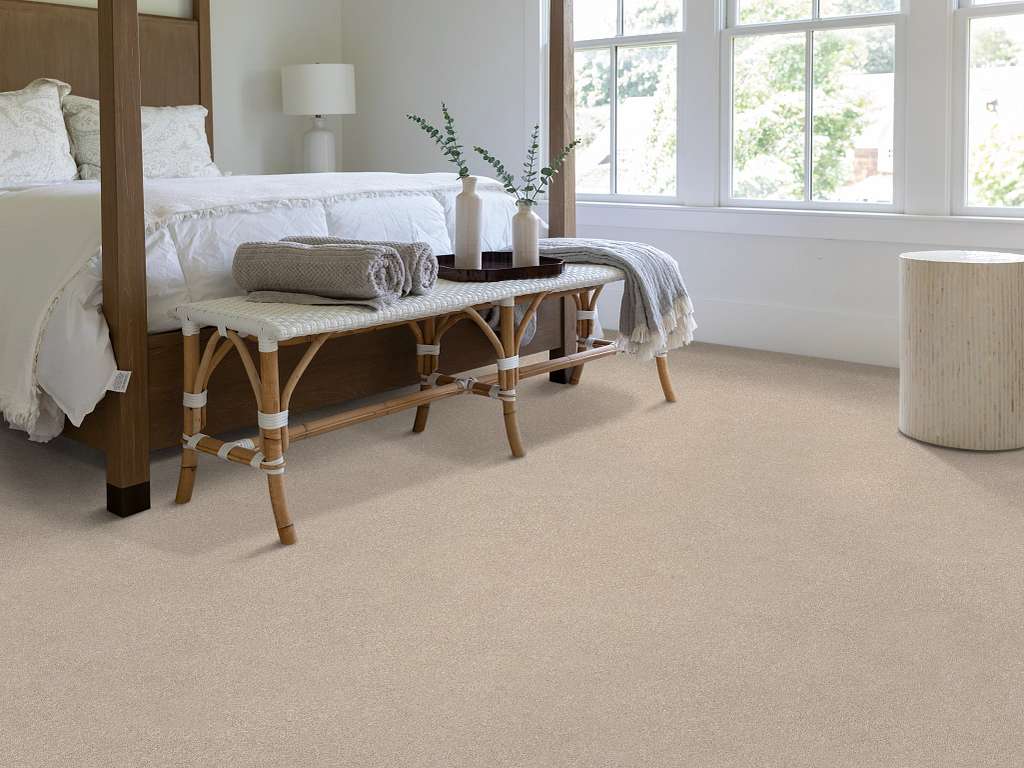 Brilliant Contact II Carpet - Cafe Latte Room Scene Image