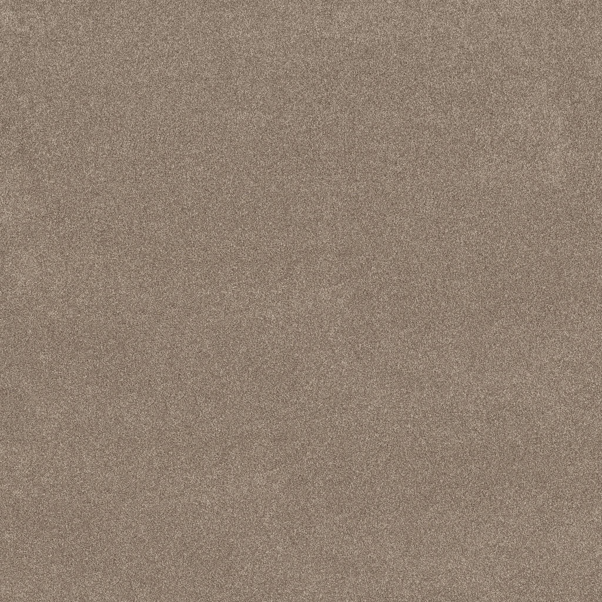 Brilliant Contact II Carpet - Stonecrest Zoomed Swatch Image