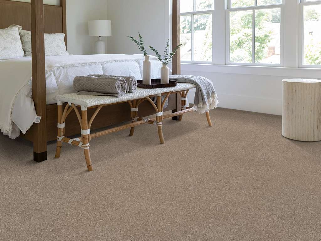 Brilliant Contact II Carpet - Stonecrest Room Scene Image