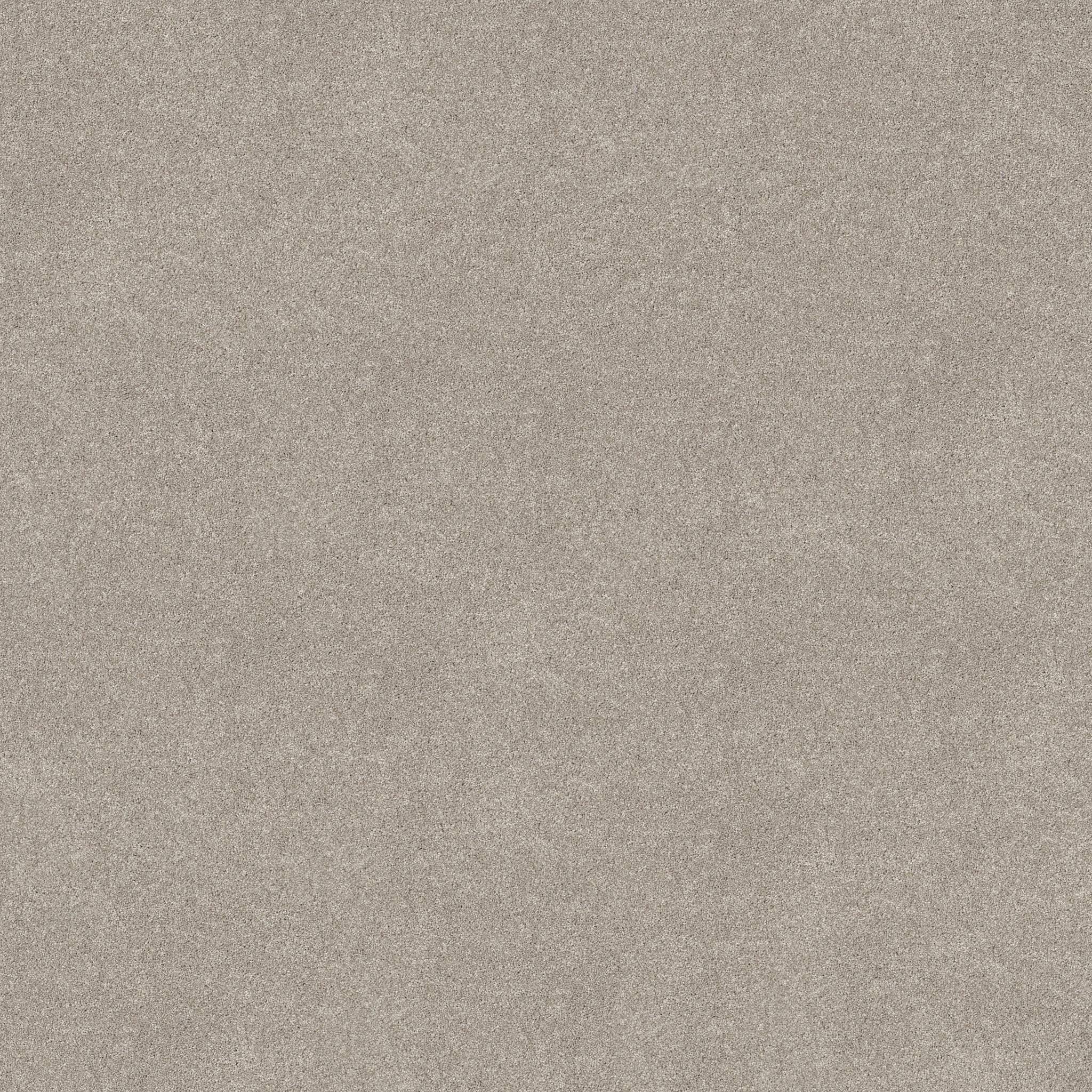 Brilliant Contact II Carpet - Chic Taupe Zoomed Swatch Image