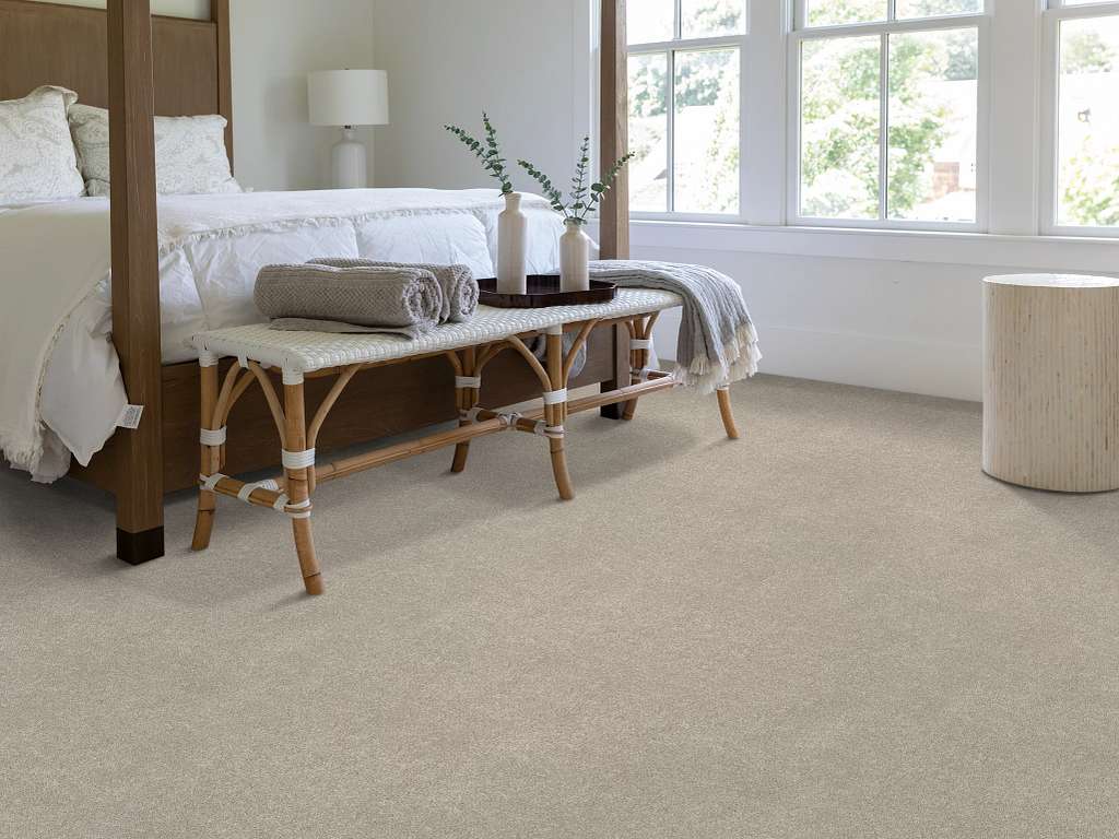Brilliant Contact II Carpet - Chic Taupe Room Scene Image