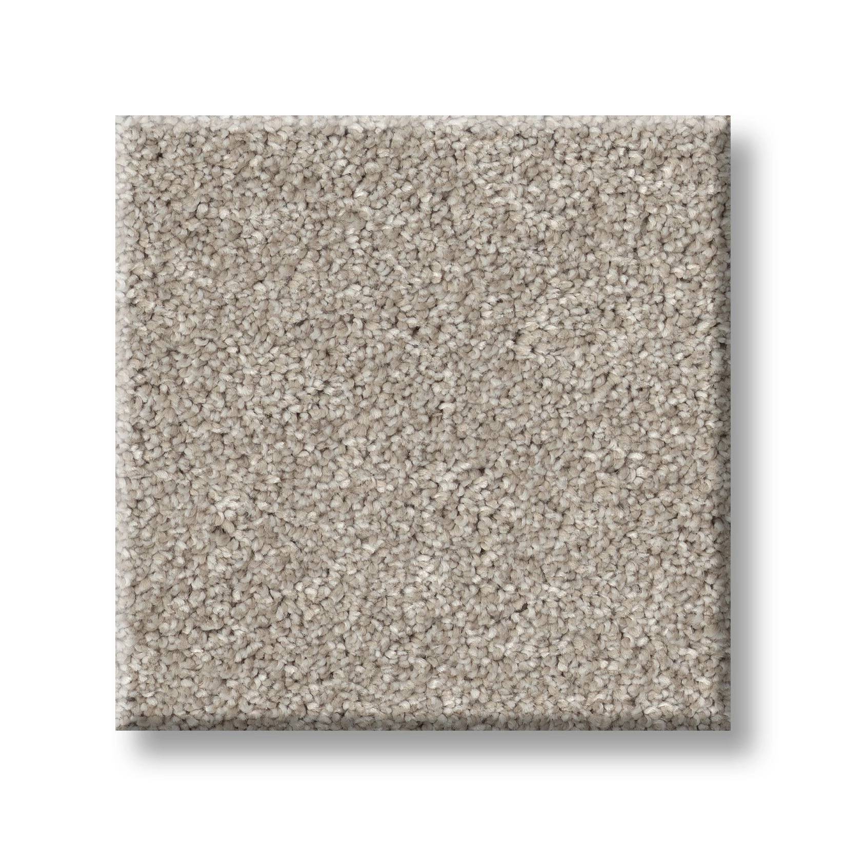 Brilliant Contact II Carpet - Chic Taupe Swatch Thumbnail pupop1