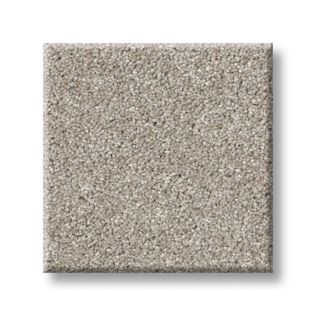 Brilliant Contact II Carpet - Chic Taupe  Swatch Image 