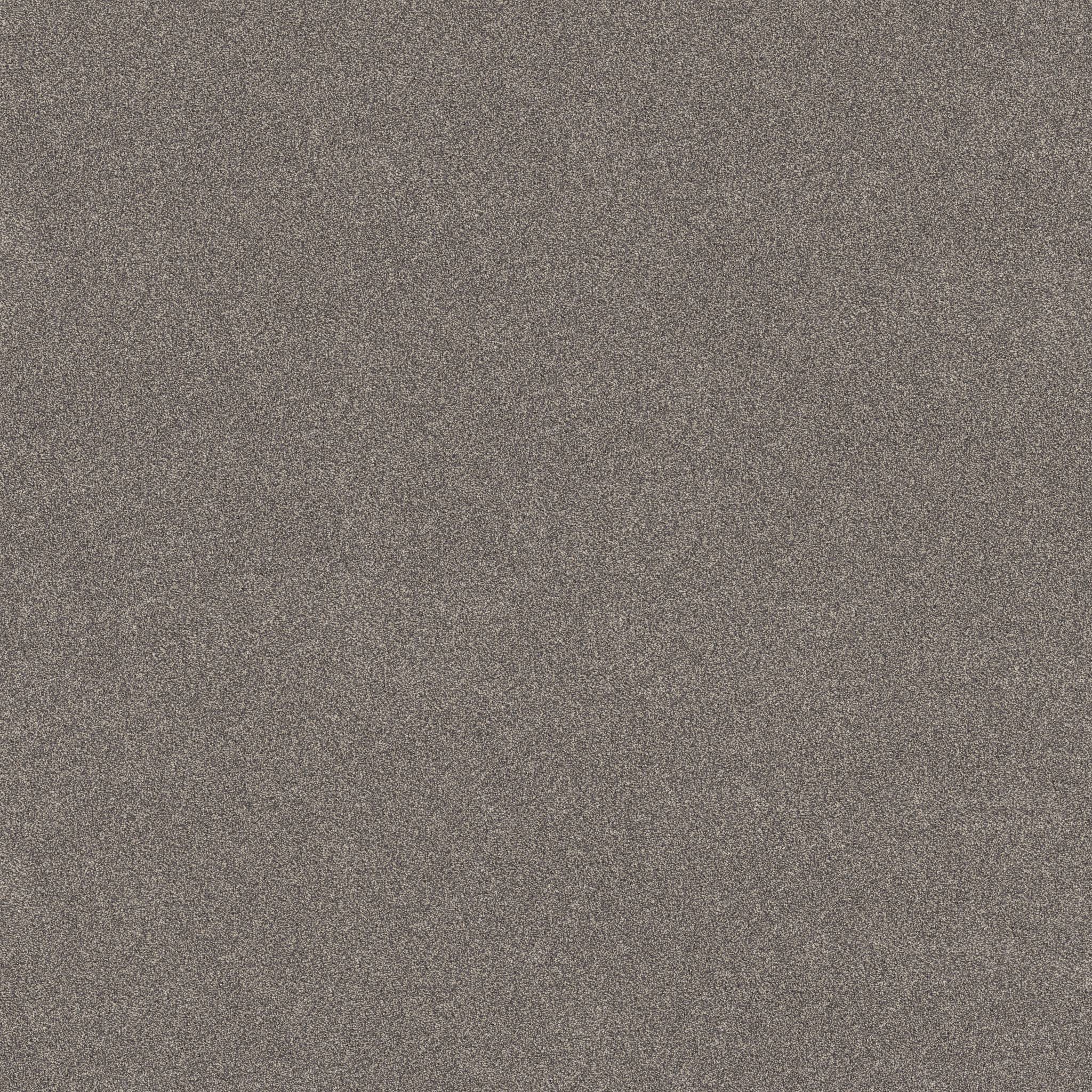 Brilliant Contact II Carpet - Shadows Zoomed Swatch Image