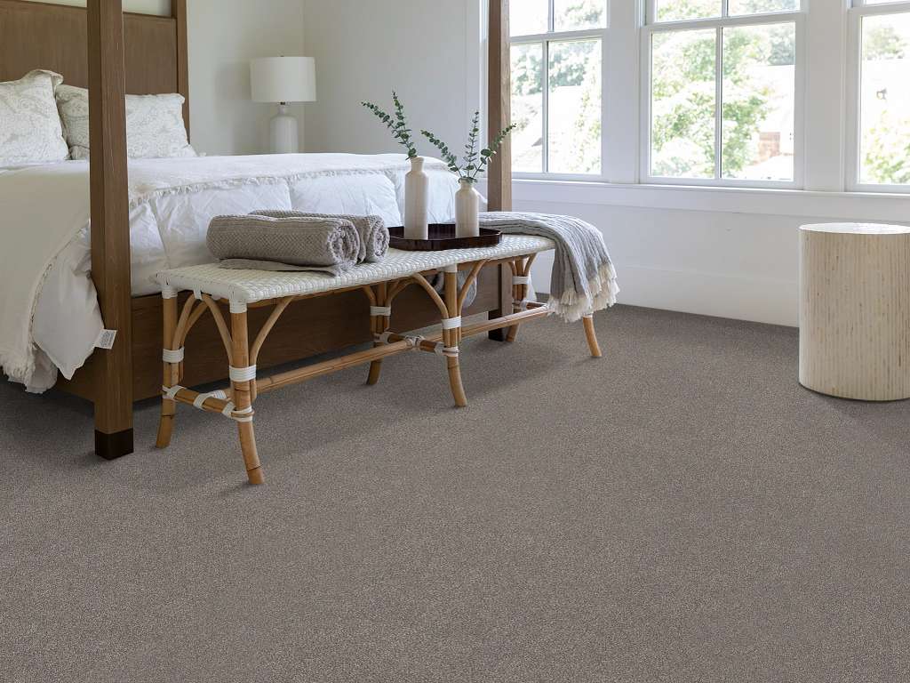 Brilliant Contact II Carpet - Shadows Room Scene Image