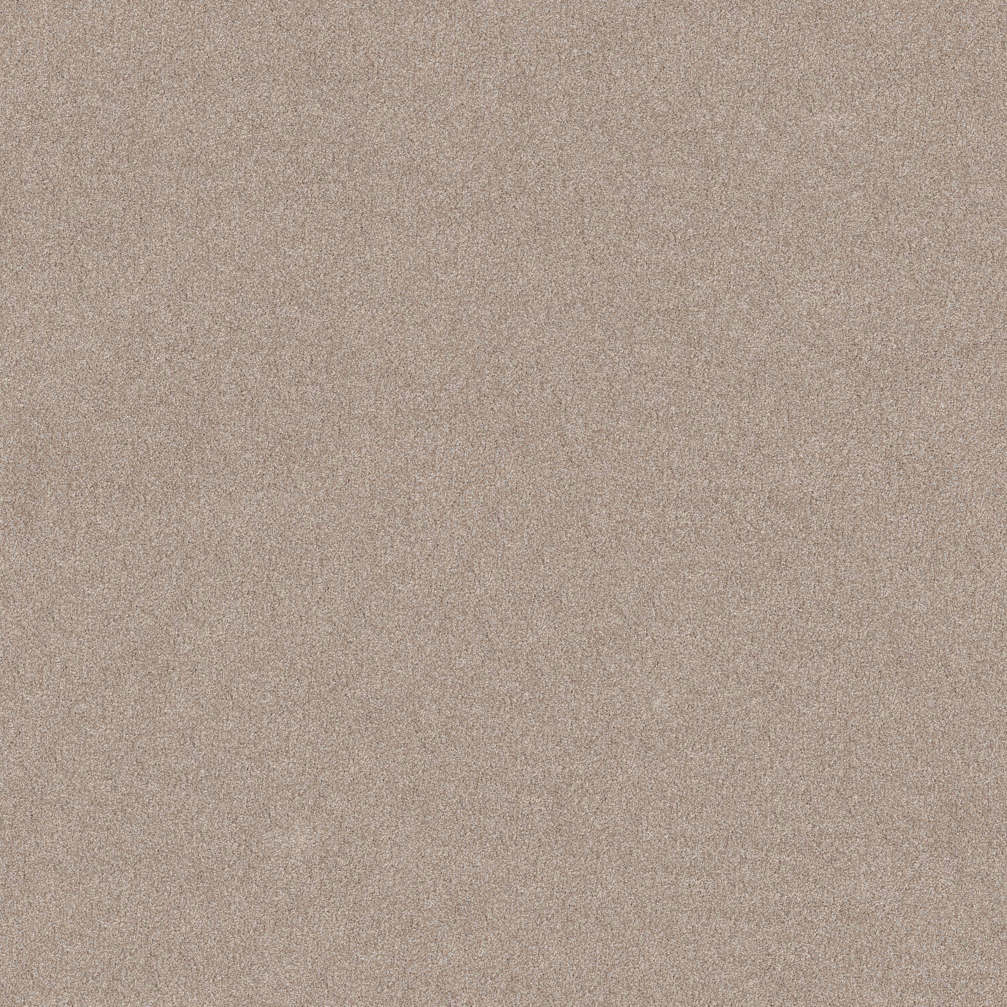 Brilliant Contact II Carpet - Baja Zoomed Swatch Image
